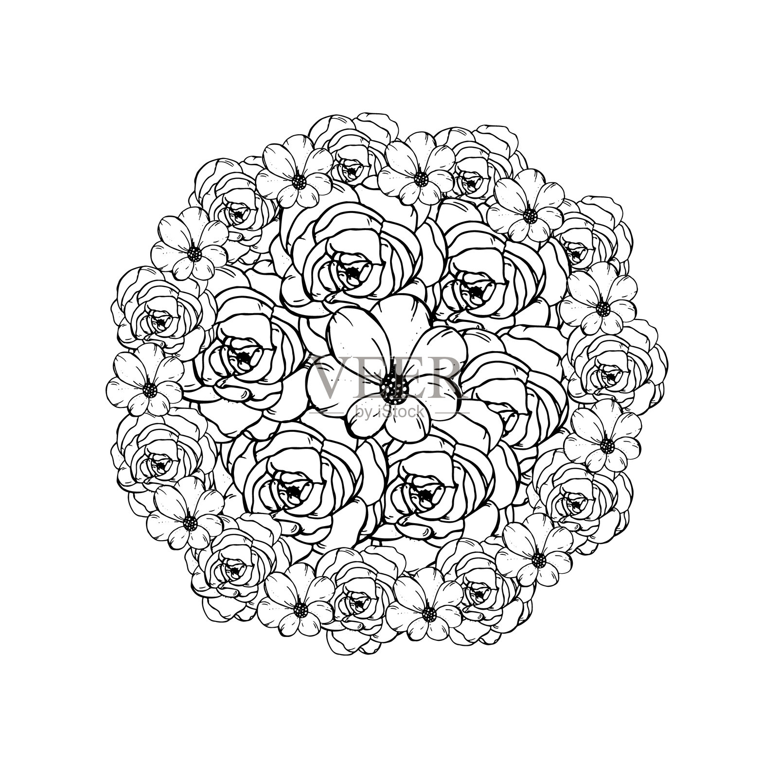 图形花卉。手绘图形插图，背景为白色。用于设计的图形花卉。插画图片素材