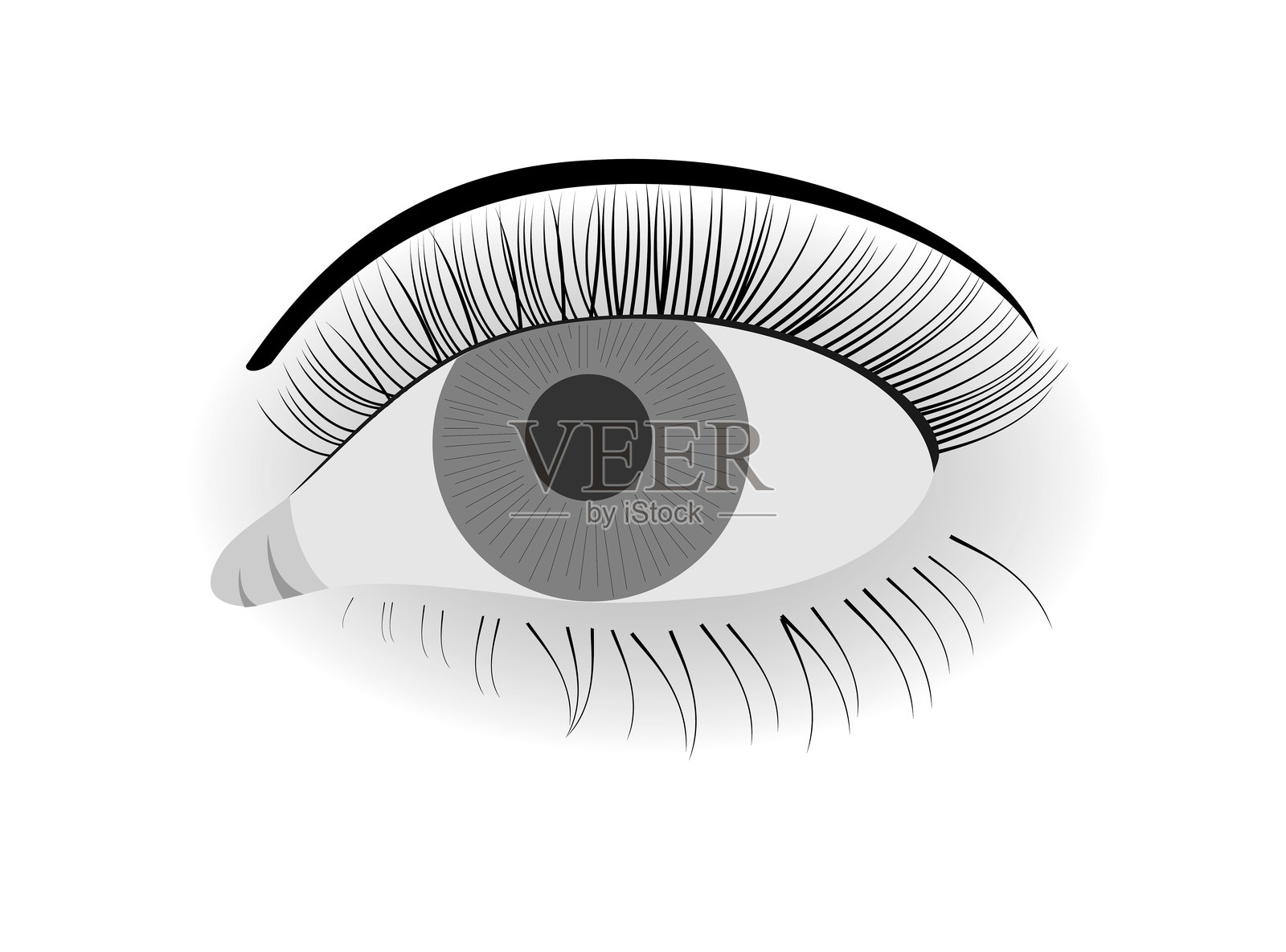 睁开的眼睛插图插画图片素材