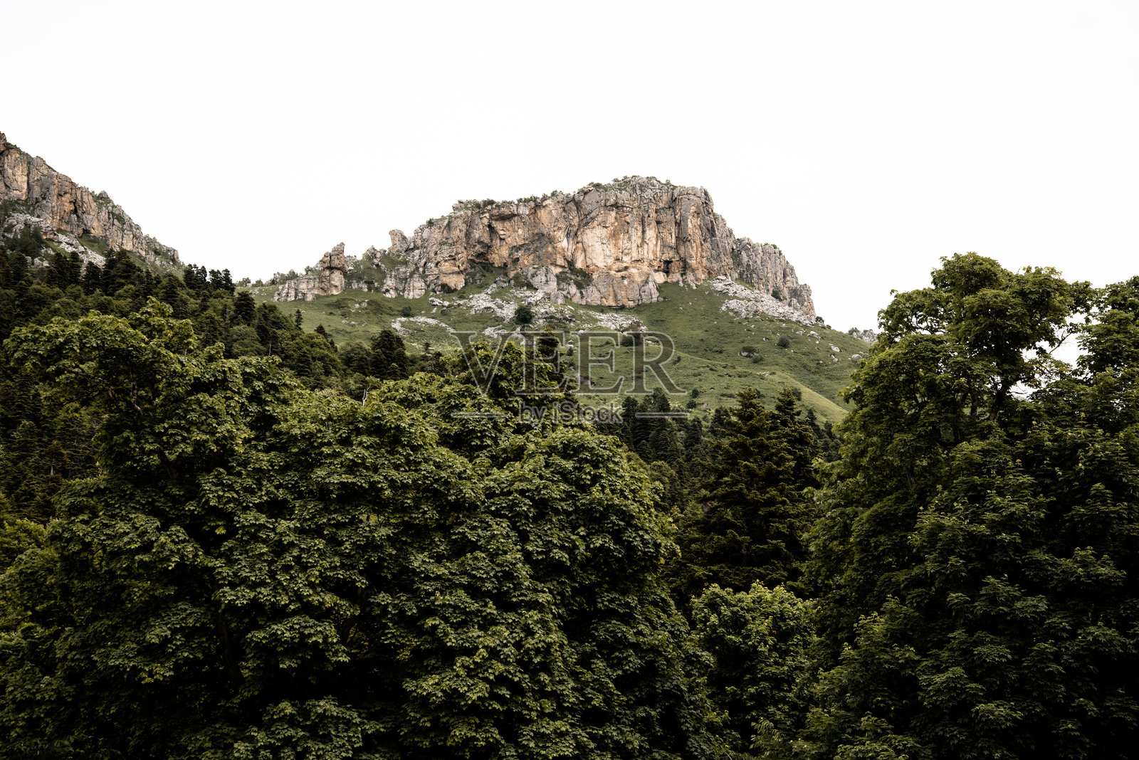 美丽的春初山景。照片摄影图片