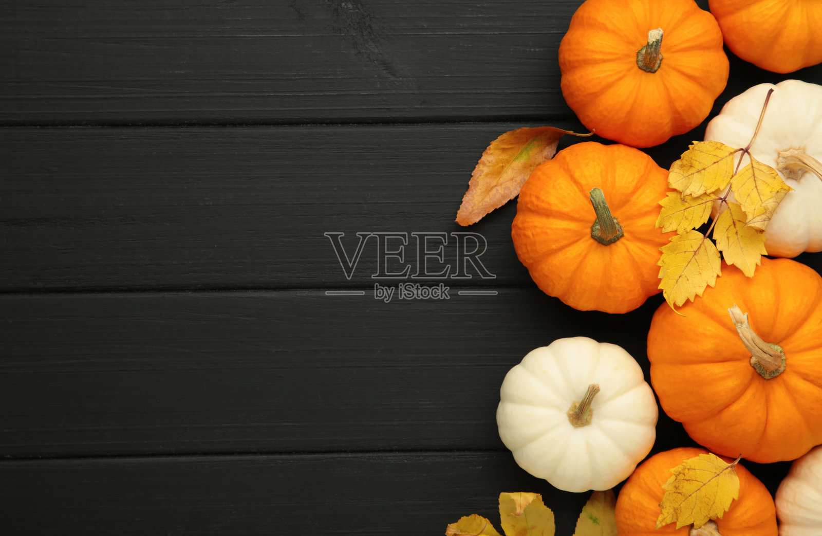 秋季构图。白色和橙色南瓜与秋天的叶子在黑色背景上。感恩节照片摄影图片