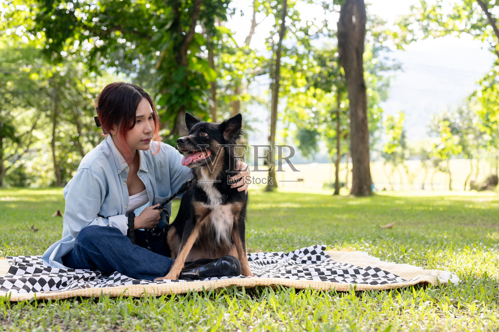 一位亚洲女性和她的狗在绿色公园里一起休闲，坐在野餐布上。照片摄影图片