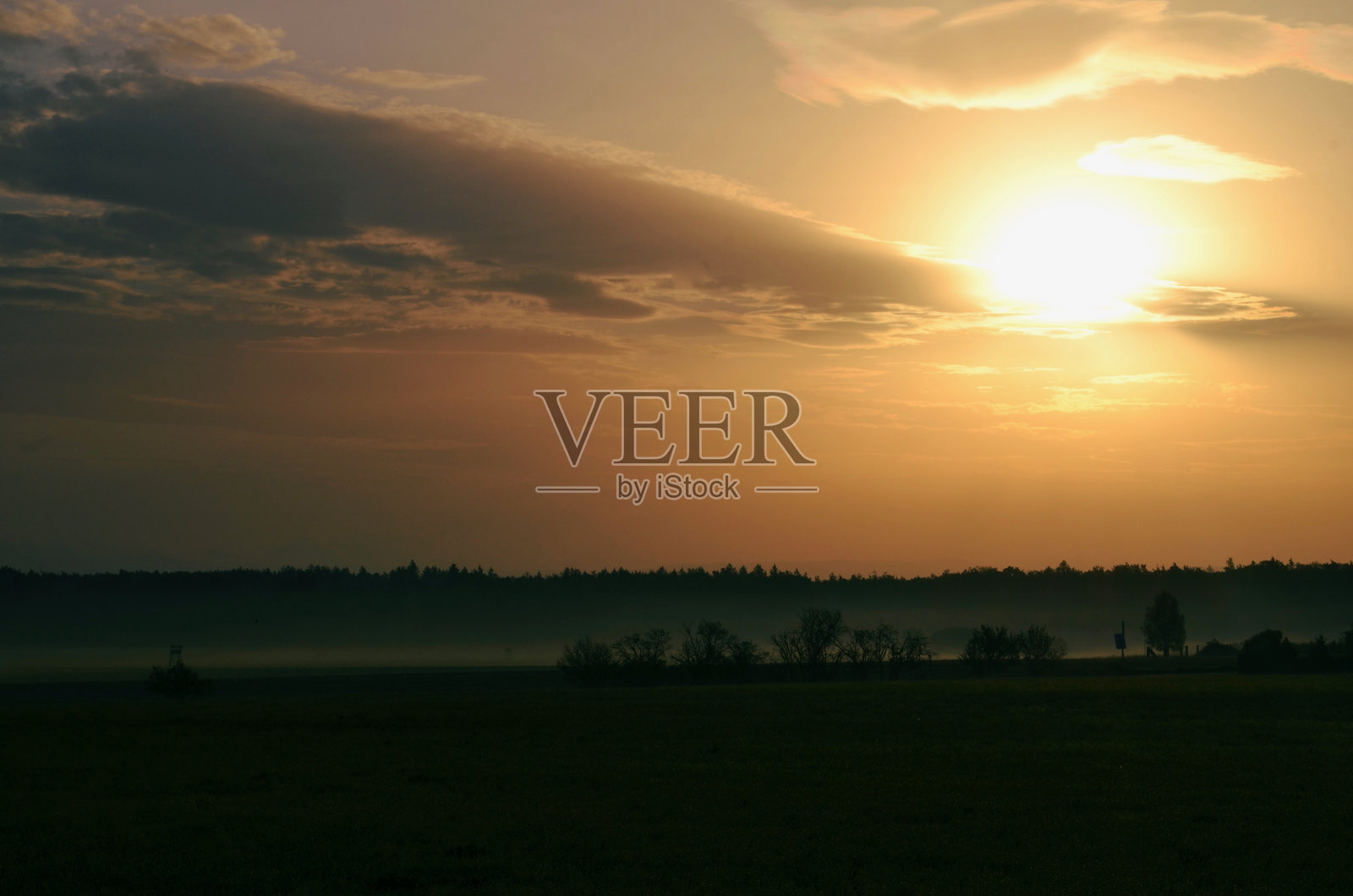 晨雾中的日出景观，雾气笼罩着田野照片摄影图片