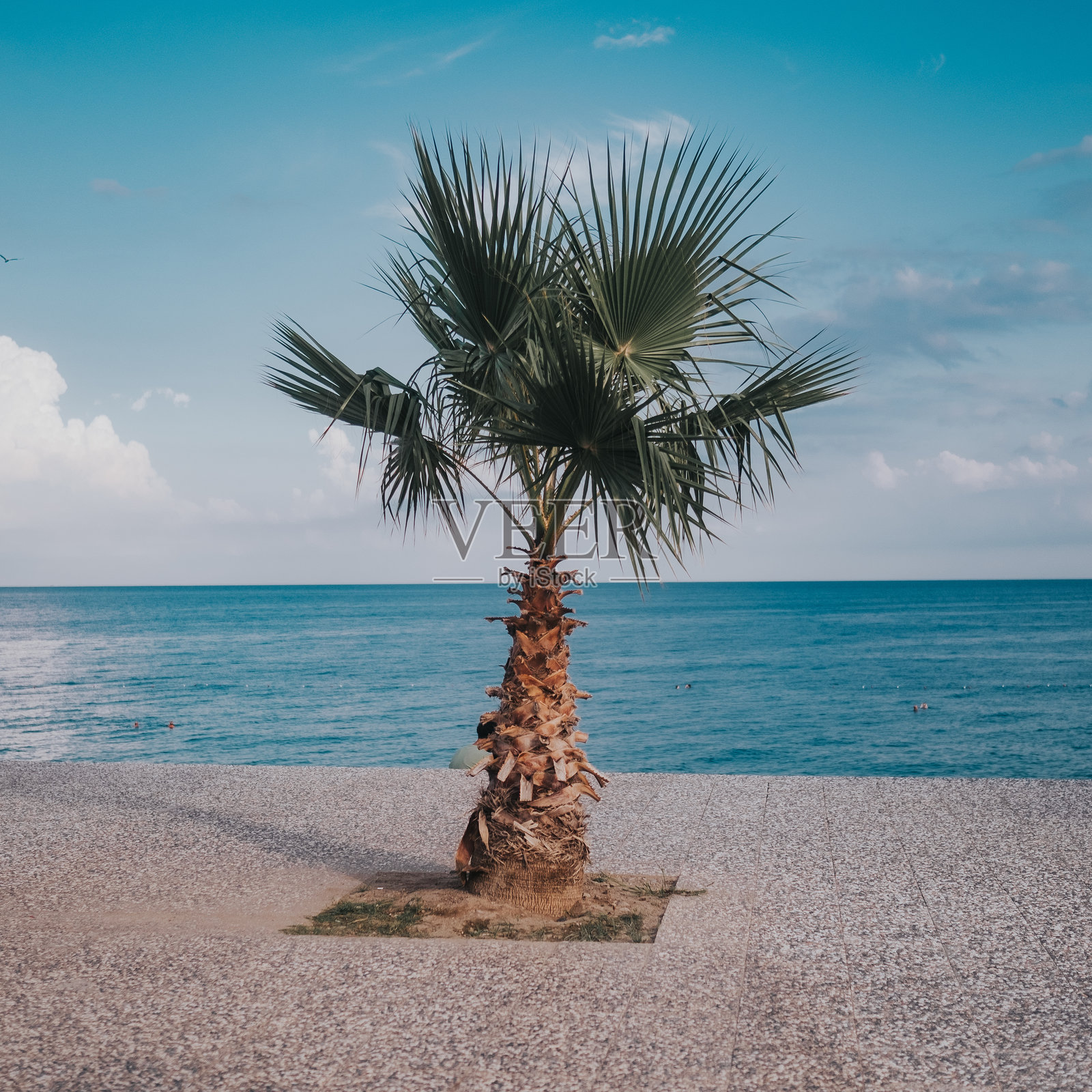 使用富士胶卷X-Pro 2照片摄影图片