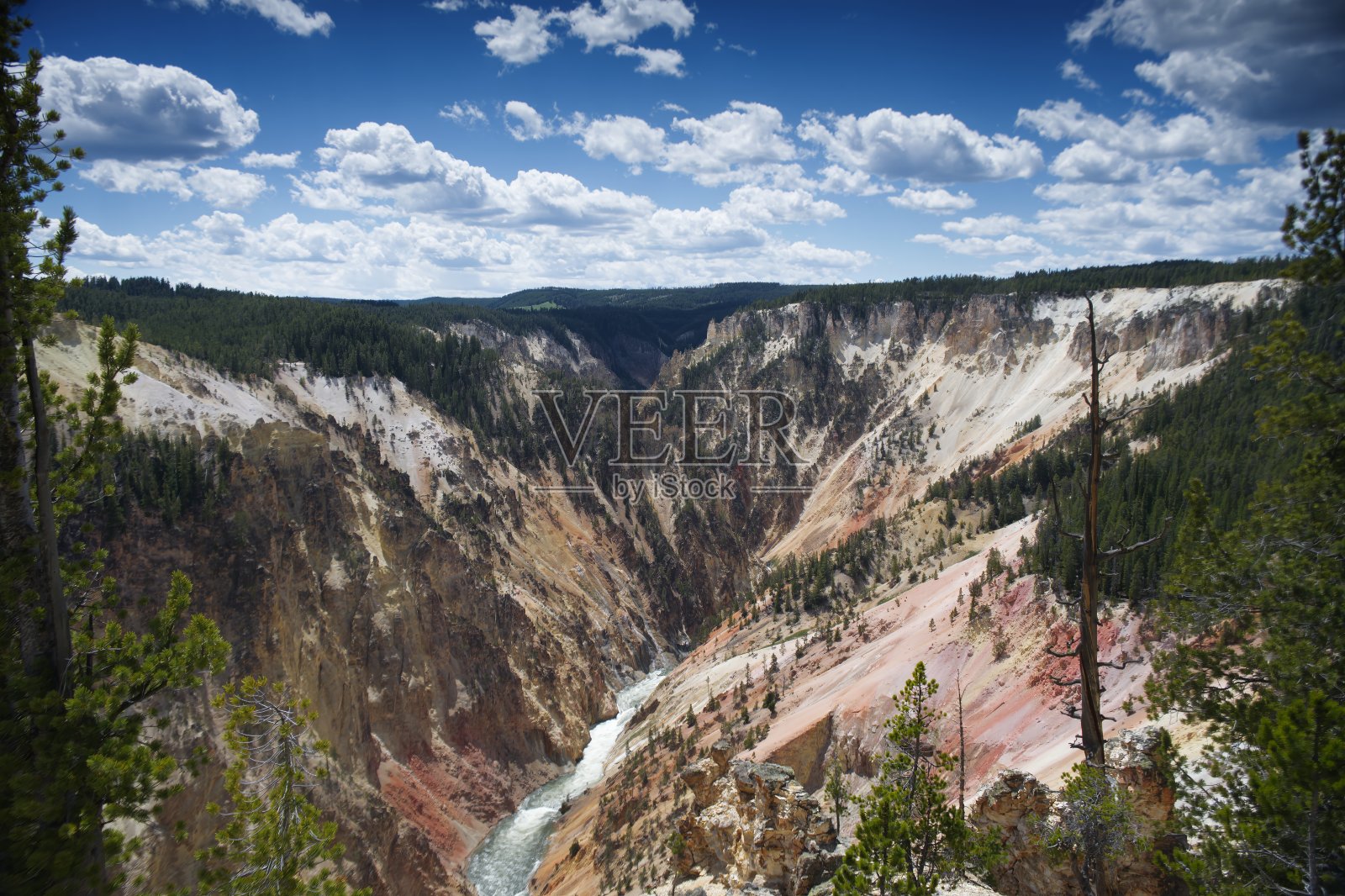 851_2640照片摄影图片