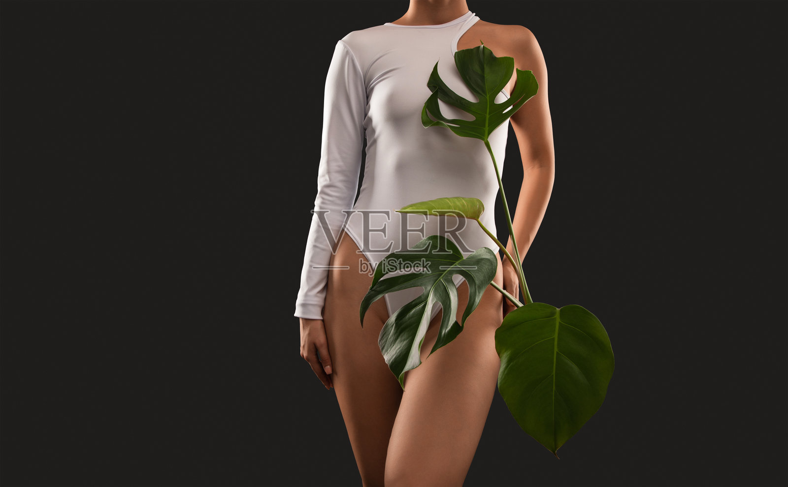 穿着白色紧身衣的苗条女性，旁边有一株绿色热带植物，背景为纯色。健康生活方式、运动和饮食。照片摄影图片