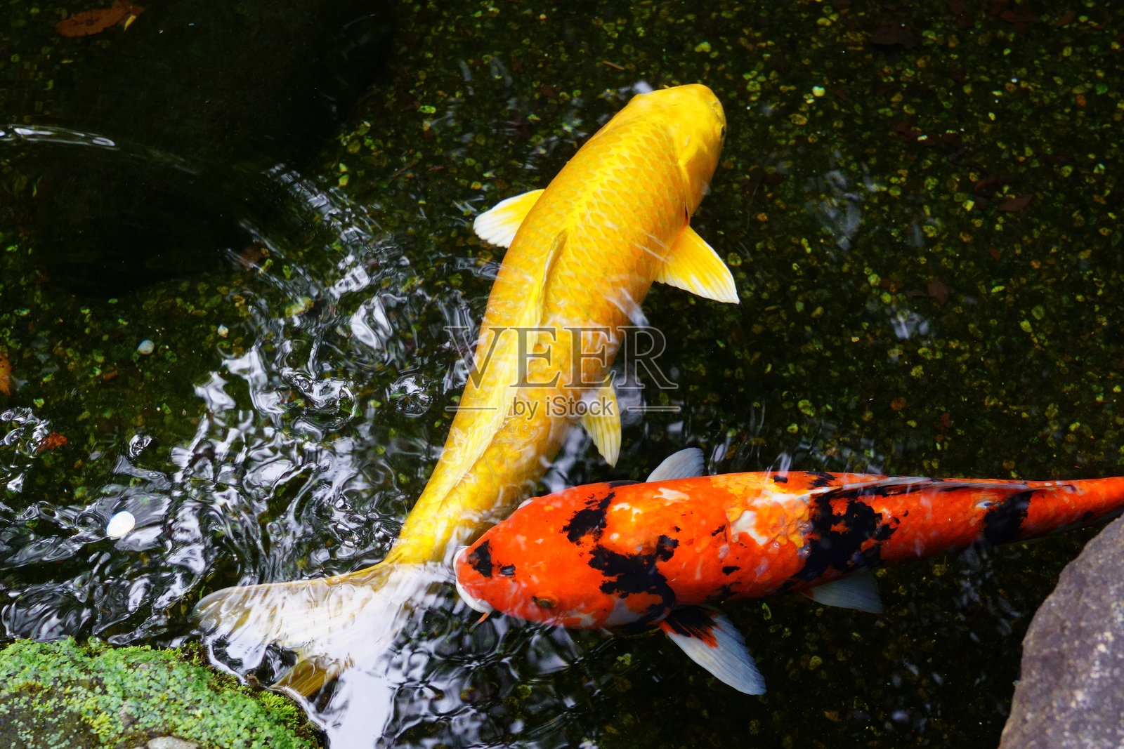 镰仓是日本神奈川县的一个城市，位于本州岛的关东地区。照片摄影图片