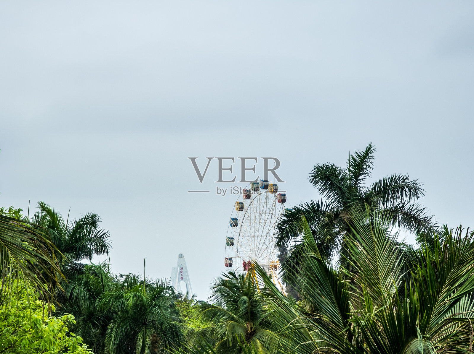 万绿园，海口：城市绿肺，休闲胜地照片摄影图片