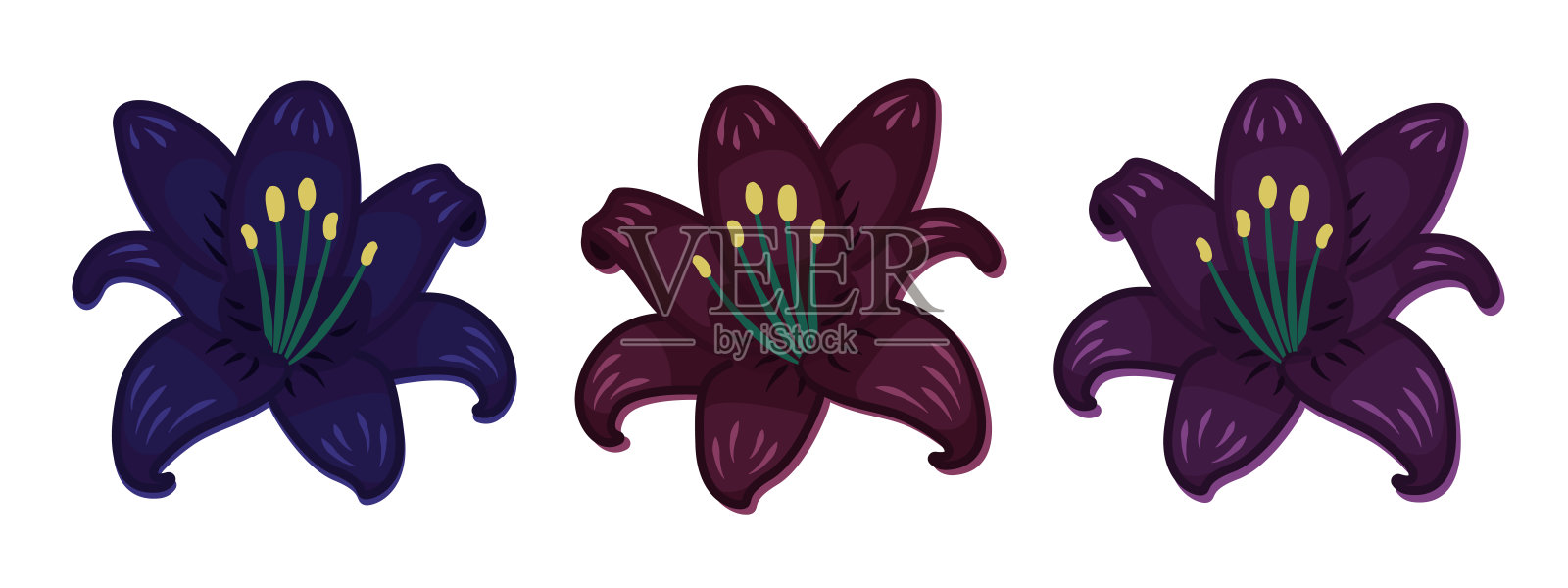三朵深色百合花蕾插画图片素材
