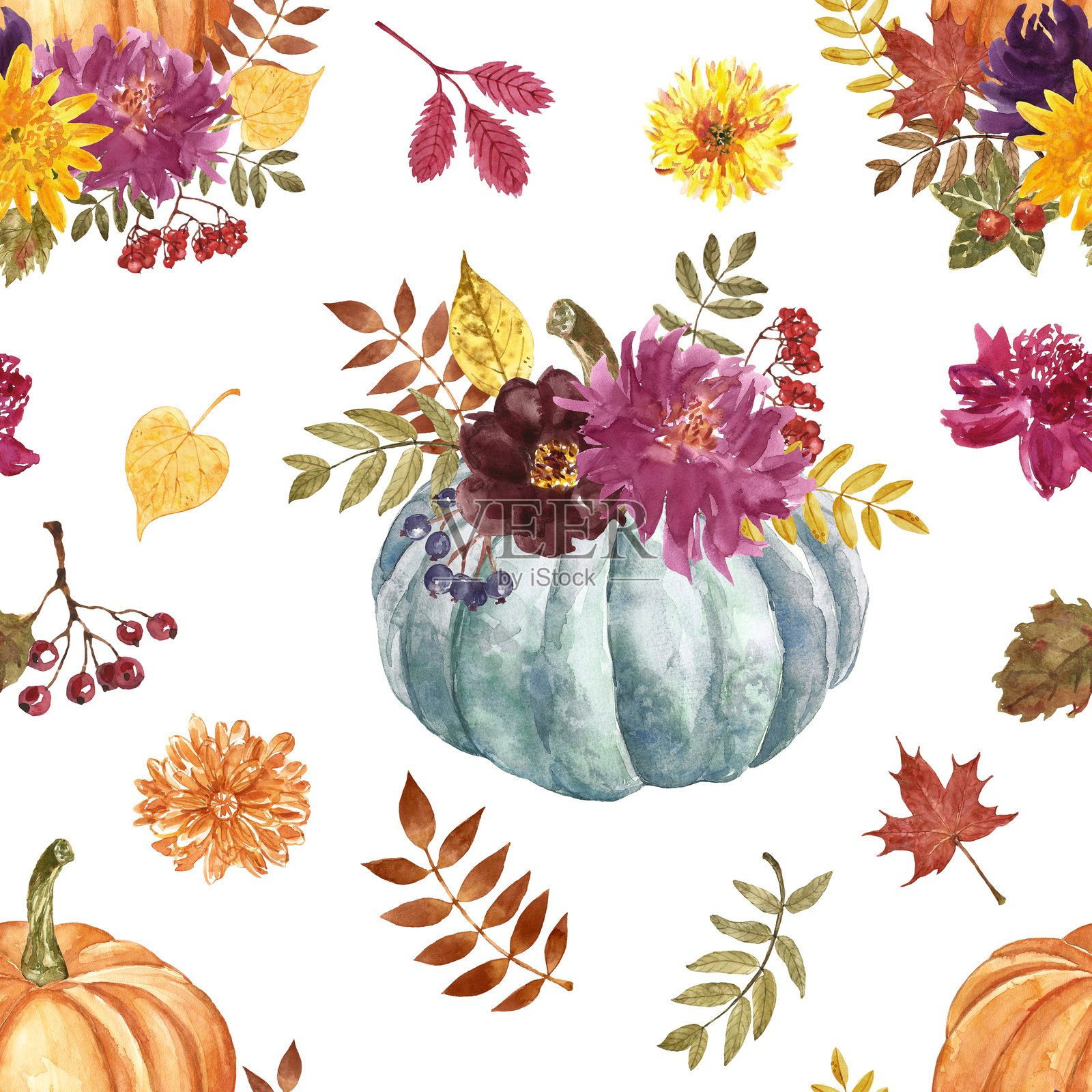 美丽的秋季南瓜和花卉无缝图案。水彩橙色和蓝色南瓜，秋季布置，树叶、叶子和浆果在白色背景上。插画图片素材