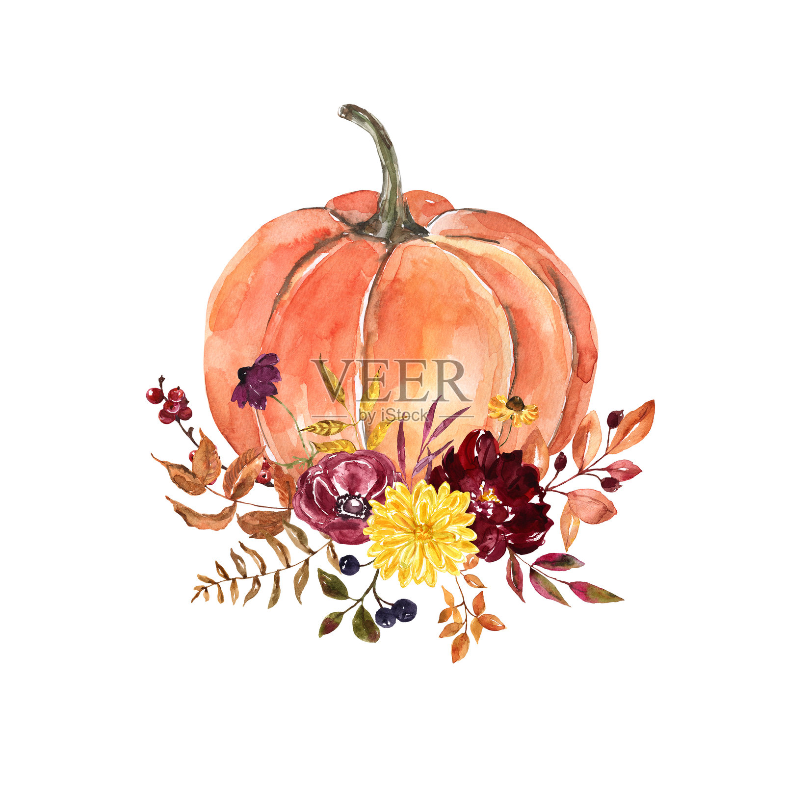 美丽的秋季花卉装饰，包含橙色南瓜、树叶和花朵。水彩手绘的秋季插图，背景为白色。插画图片素材