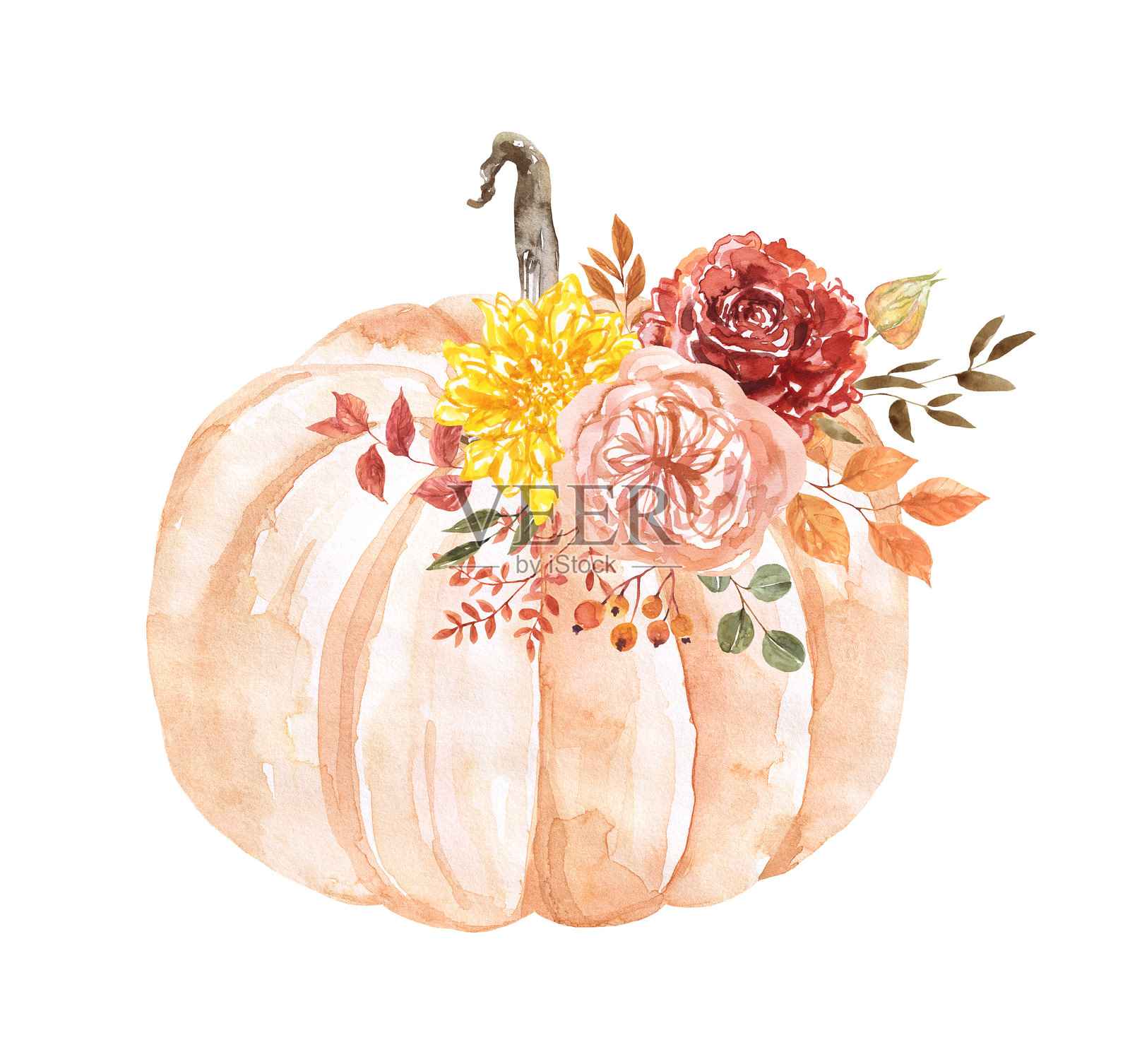手绘南瓜排列插图，背景为白色。粉彩南瓜、秋季花卉、叶子和浆果。插画图片素材