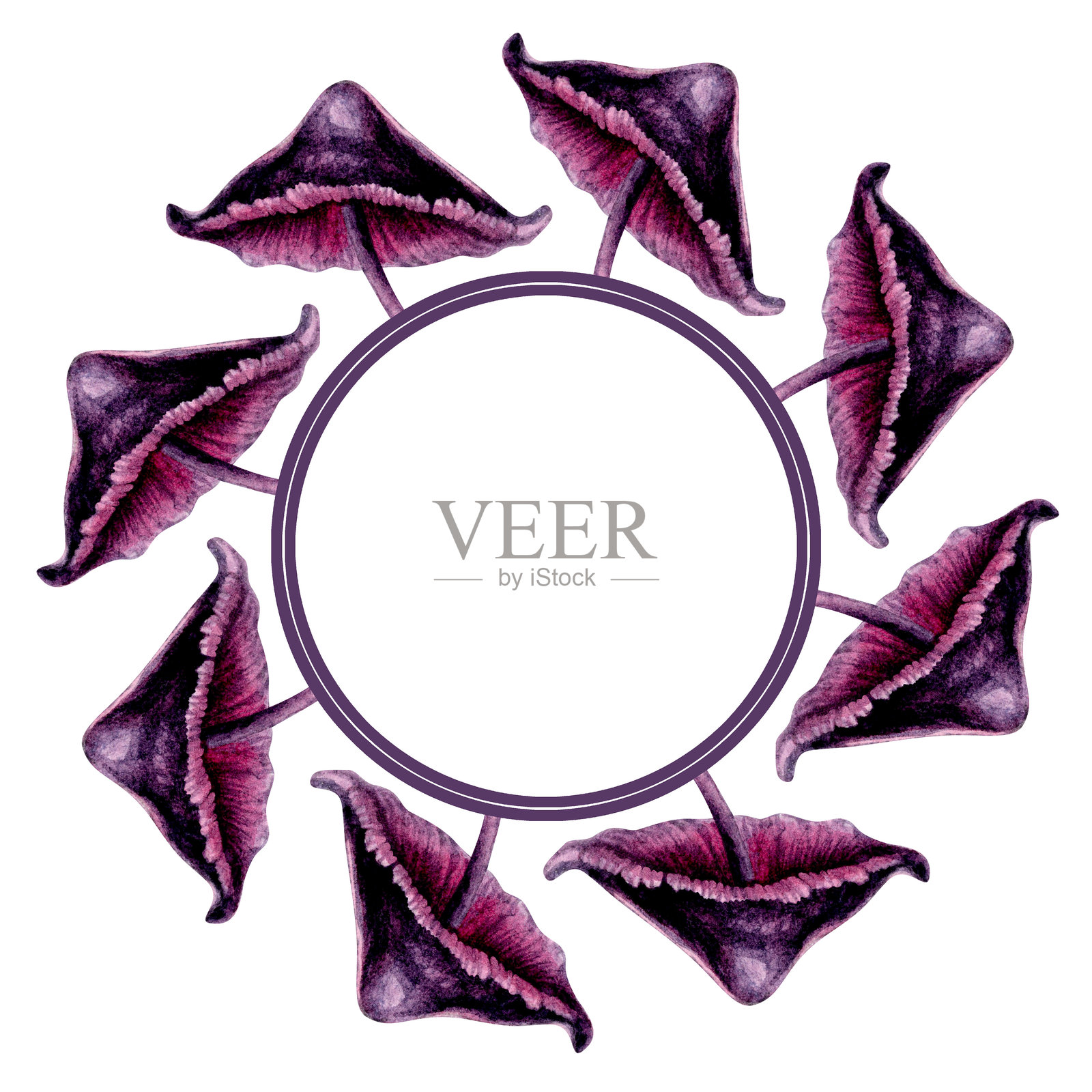 圆形框架与有毒的紫色蘑菇。水彩插图模板用于神秘、巫术、万圣节：盘子、托盘、圆形餐巾、枕头、邀请函、菜单、卡片、明信片。插画图片素材