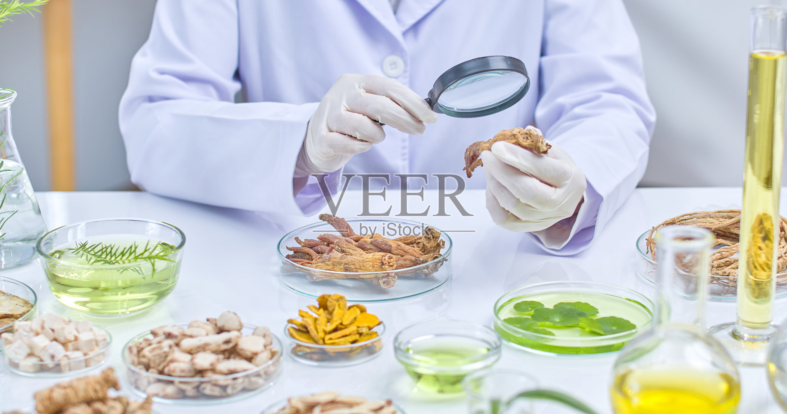 现代实验室中的东方医学实验模板照片照片摄影图片