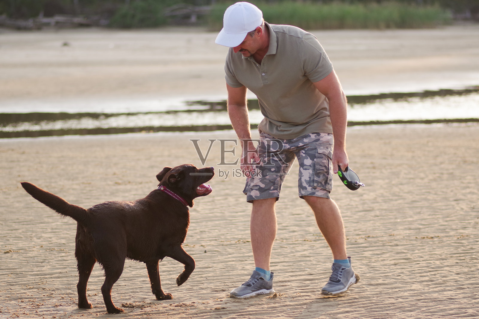 45岁的白人男性在日落时分与一只巧克力色拉布拉多犬在海滩上玩耍。人和宠物。照片摄影图片
