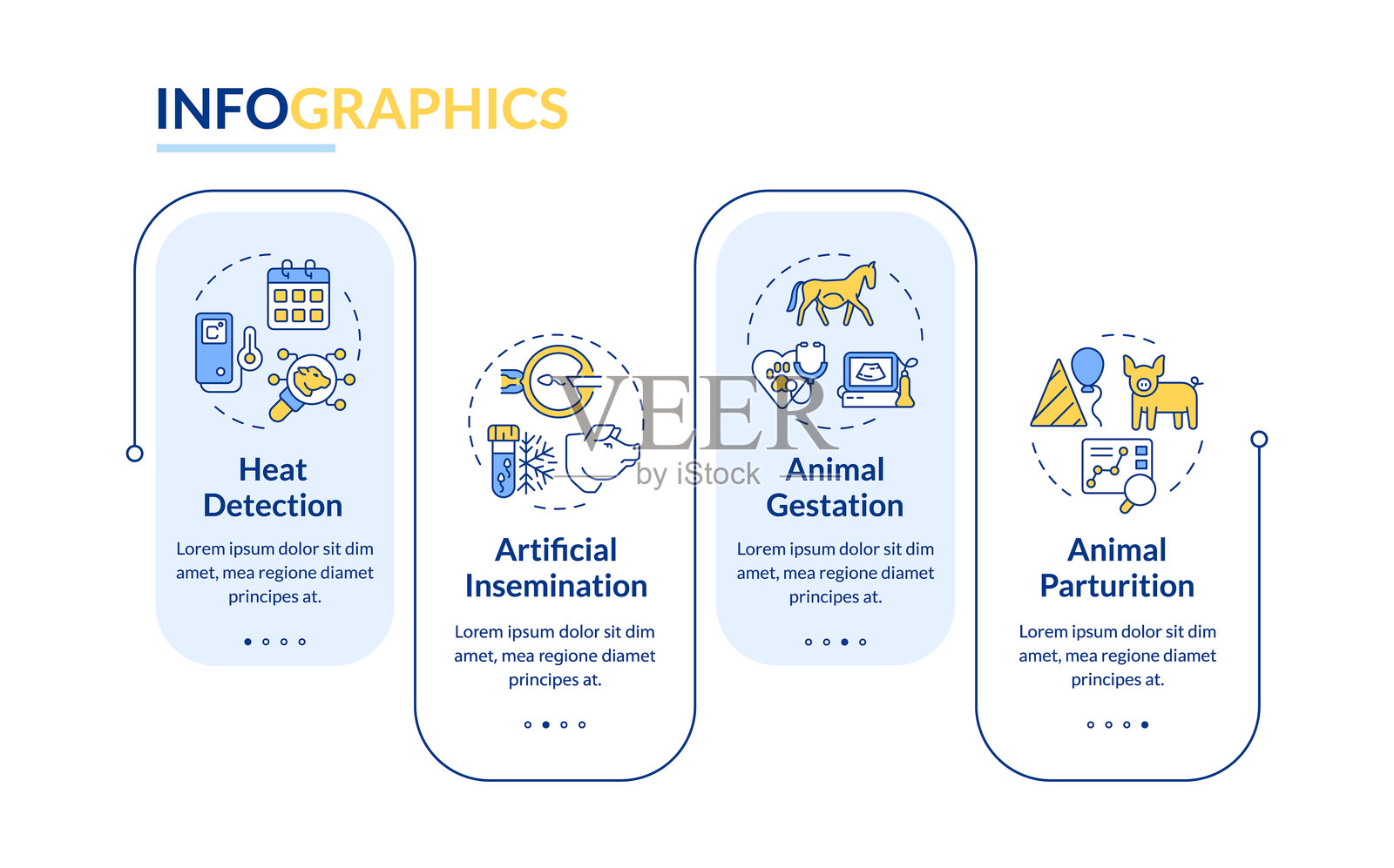 动物类型矩形信息图矢量插画图片素材