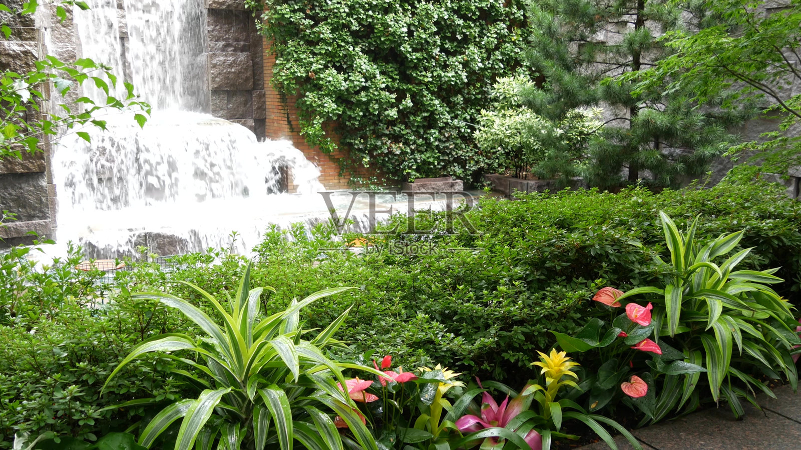 纽约市城市公园，格林纳克公园瀑布。曼哈顿中城，美国。树木绿化。照片摄影图片