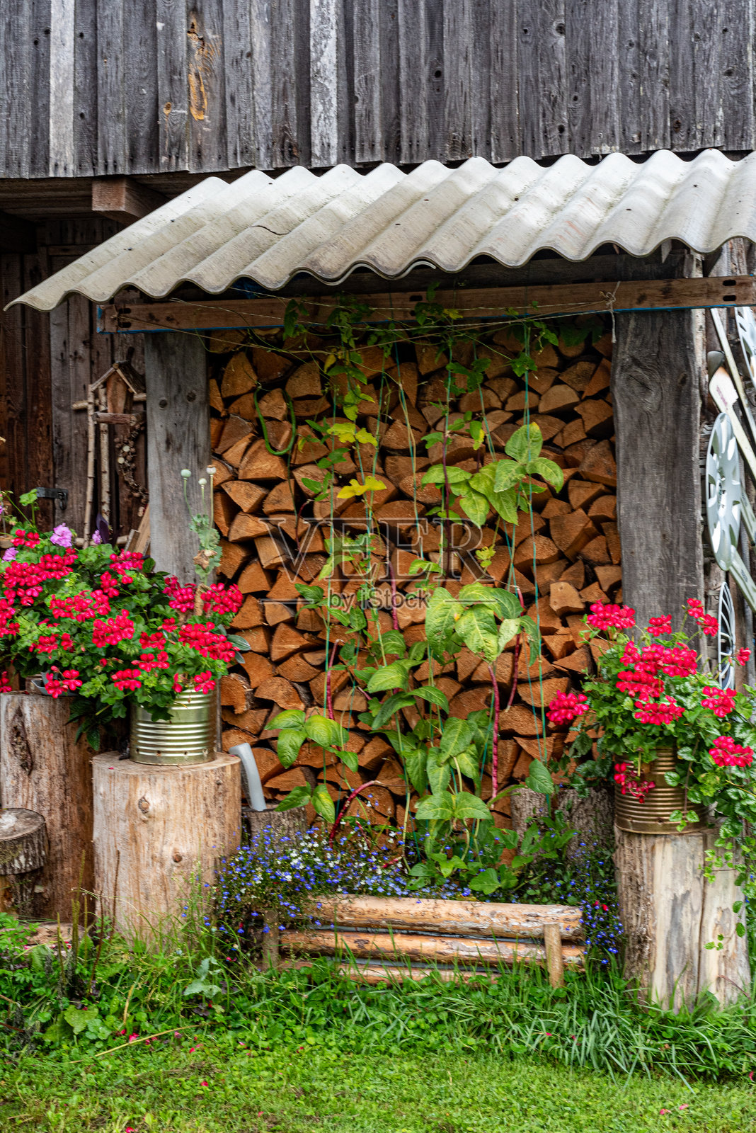 花园装饰，庭院室内，各种家居装饰用品，园丁的概念照片摄影图片