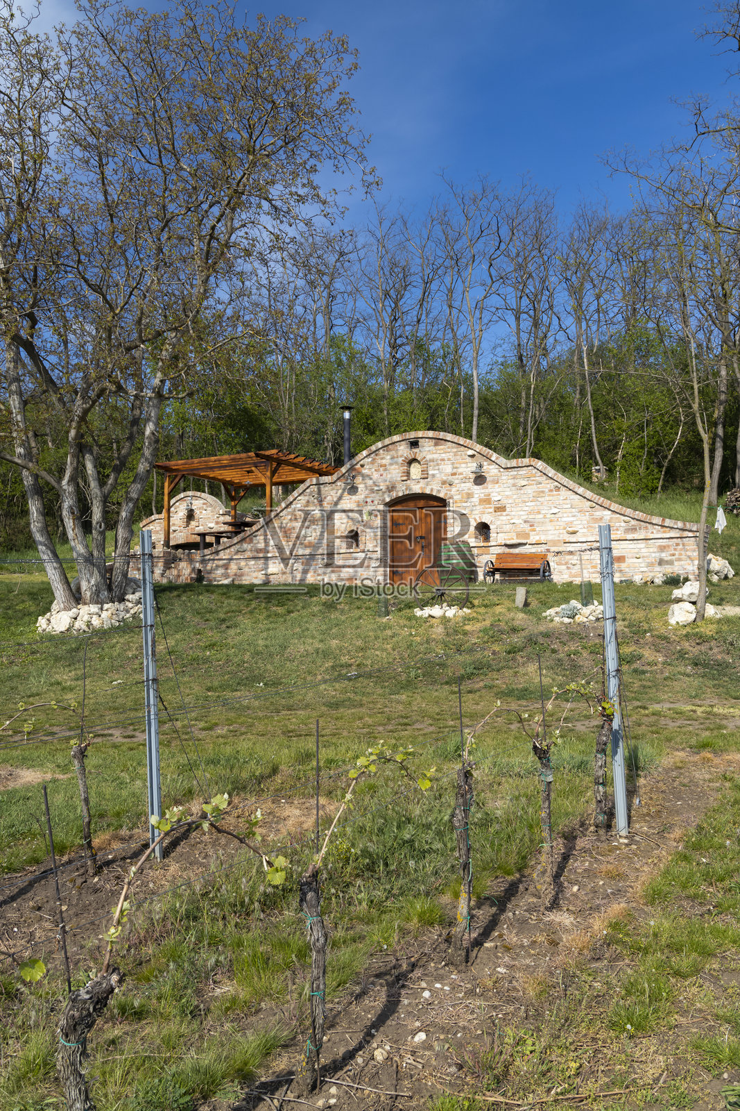 酒窖，帕拉瓦地区，南摩拉维亚，捷克共和国照片摄影图片