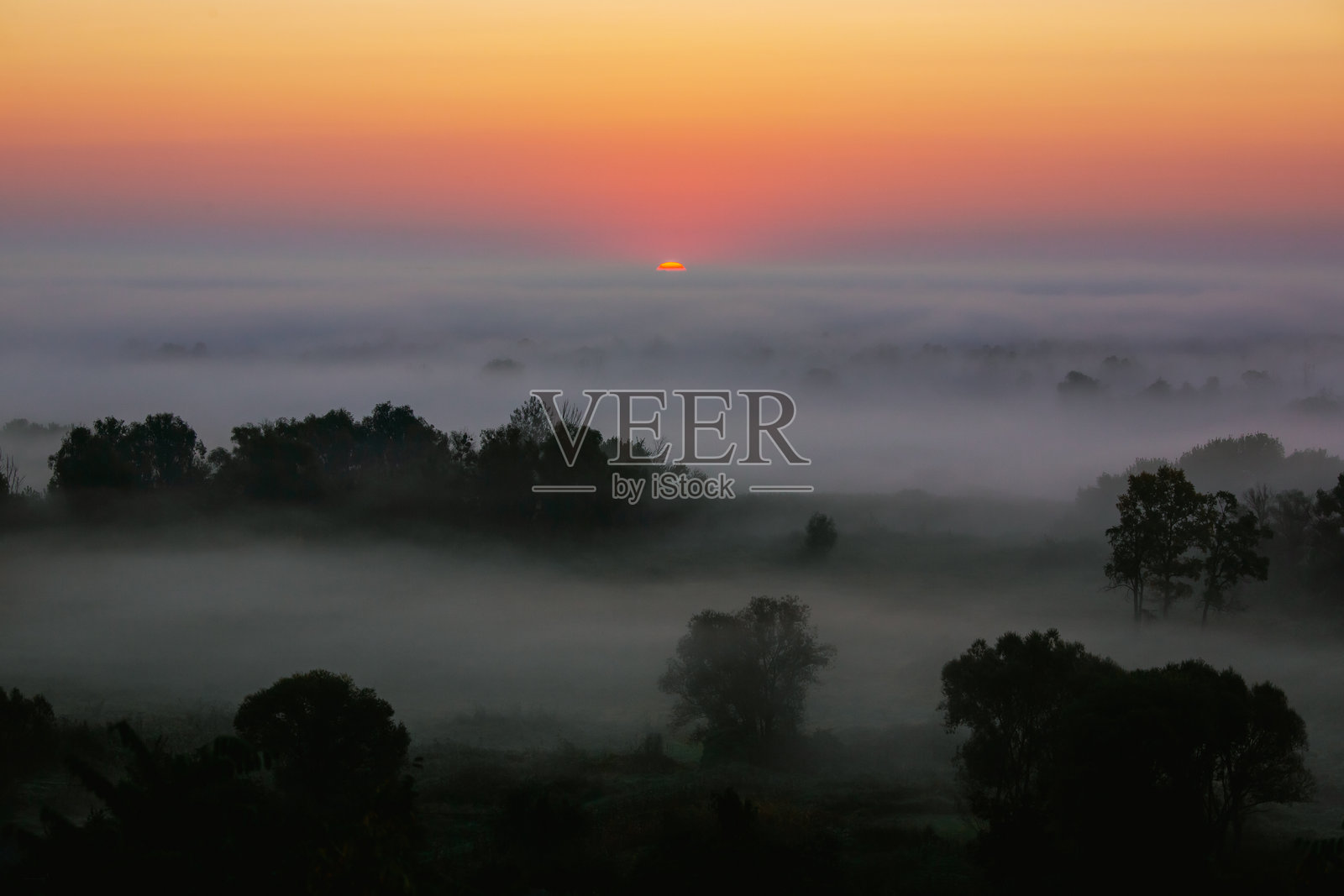晨曦中的风景，树木和田野被浓雾笼罩。太阳在地平线上升起，微微穿透雾气。照片摄影图片