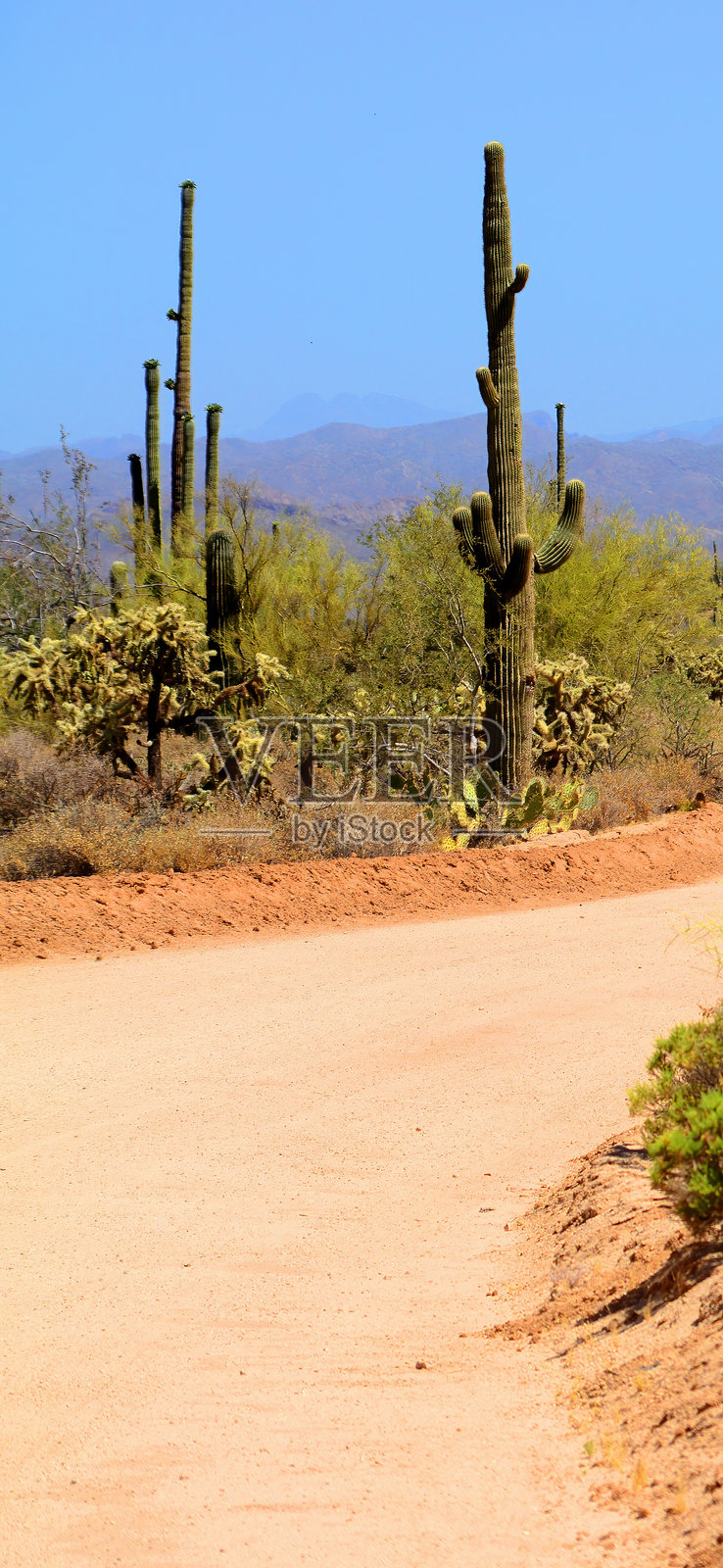 索诺拉沙漠亚利桑那州的沙漠公路照片摄影图片
