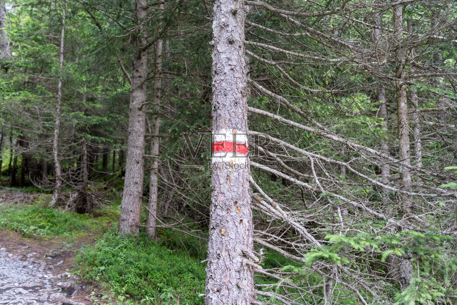 瑞士徒步旅行小径标志指示小径方向照片摄影图片