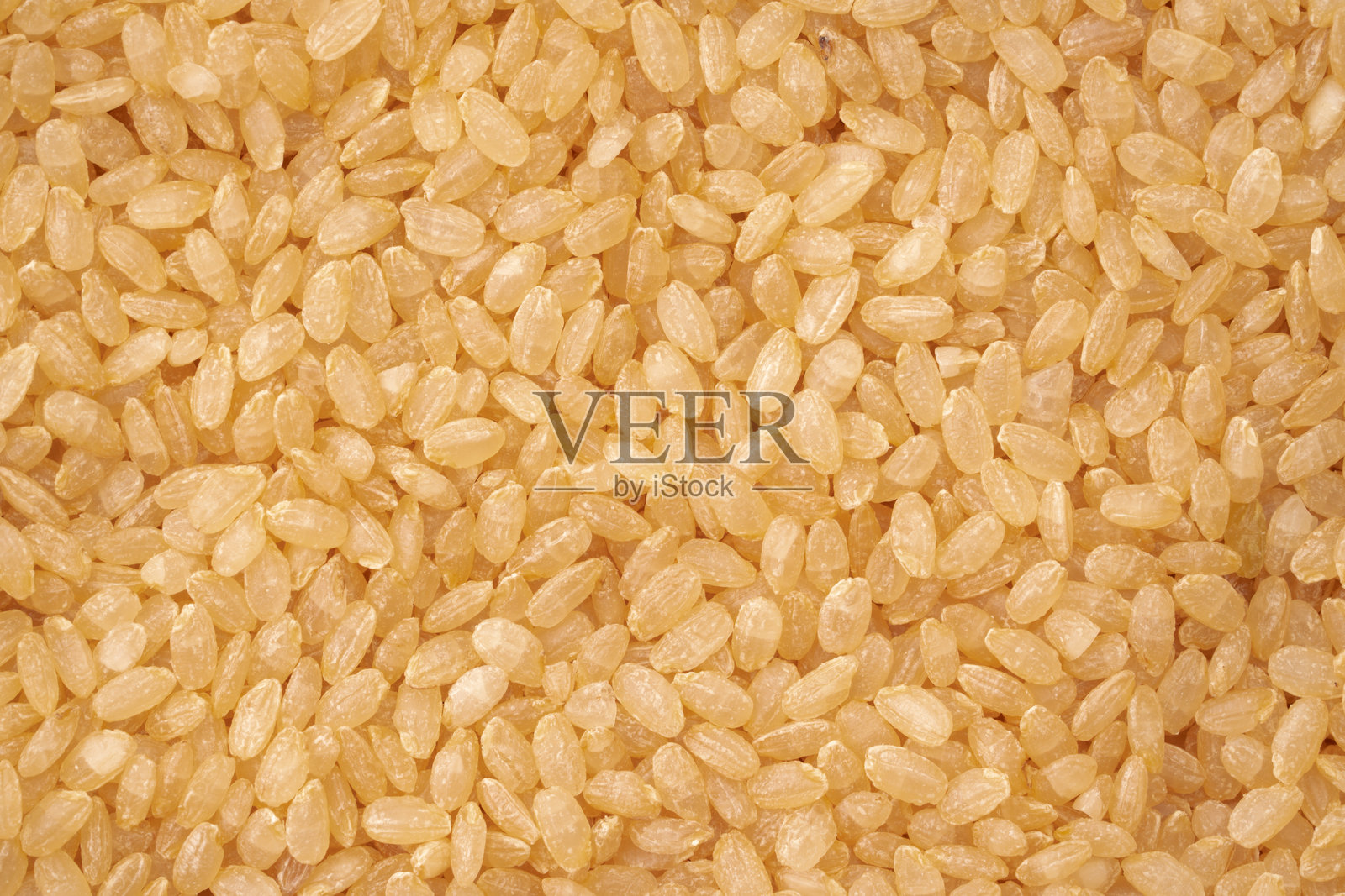 发芽的糙米照片摄影图片