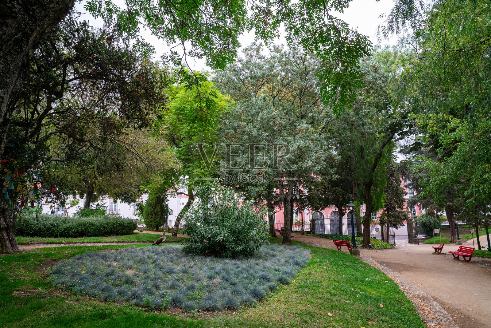 城市中心的公共花园。照片摄影图片