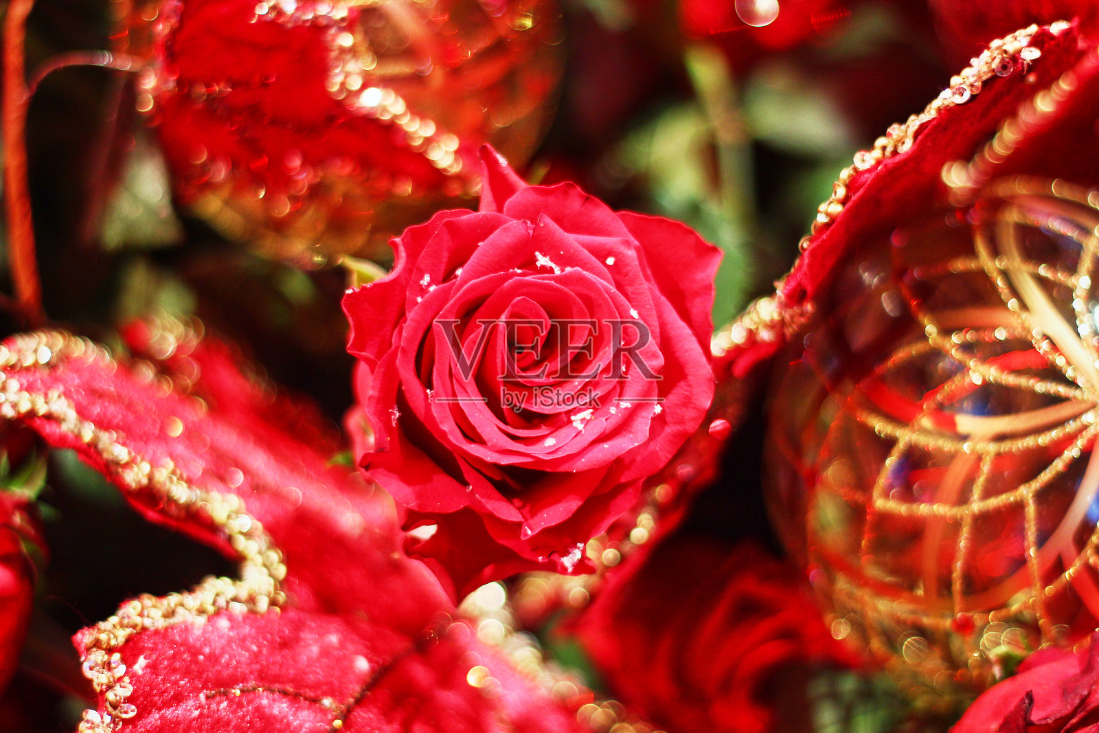 红色圣诞背景，配有红玫瑰和金色球饰照片摄影图片