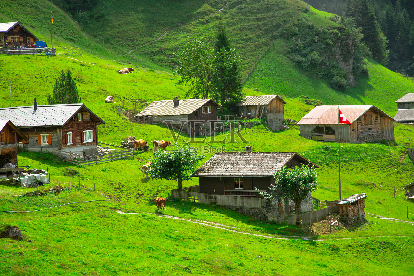 瑞士的阿尔卑斯村庄，拥有小木屋。户外生活概念照片摄影图片