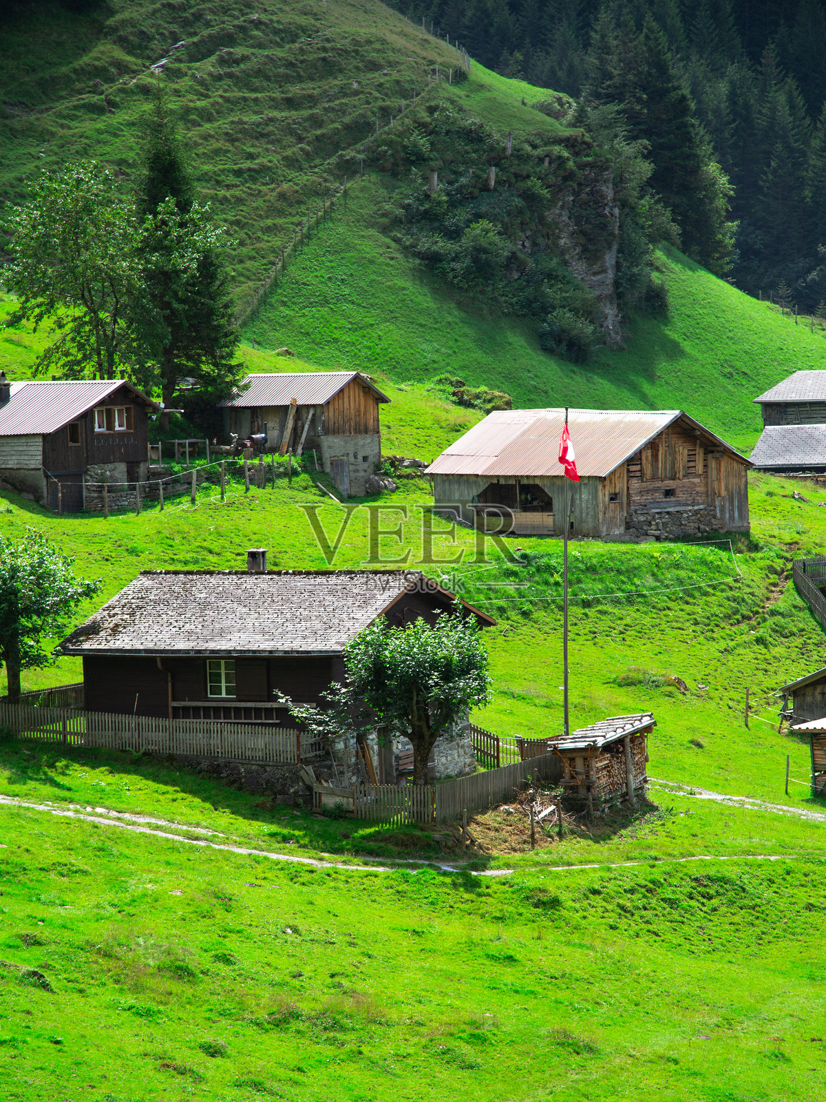 瑞士的阿尔卑斯村庄，拥有小木屋。户外生活概念照片摄影图片
