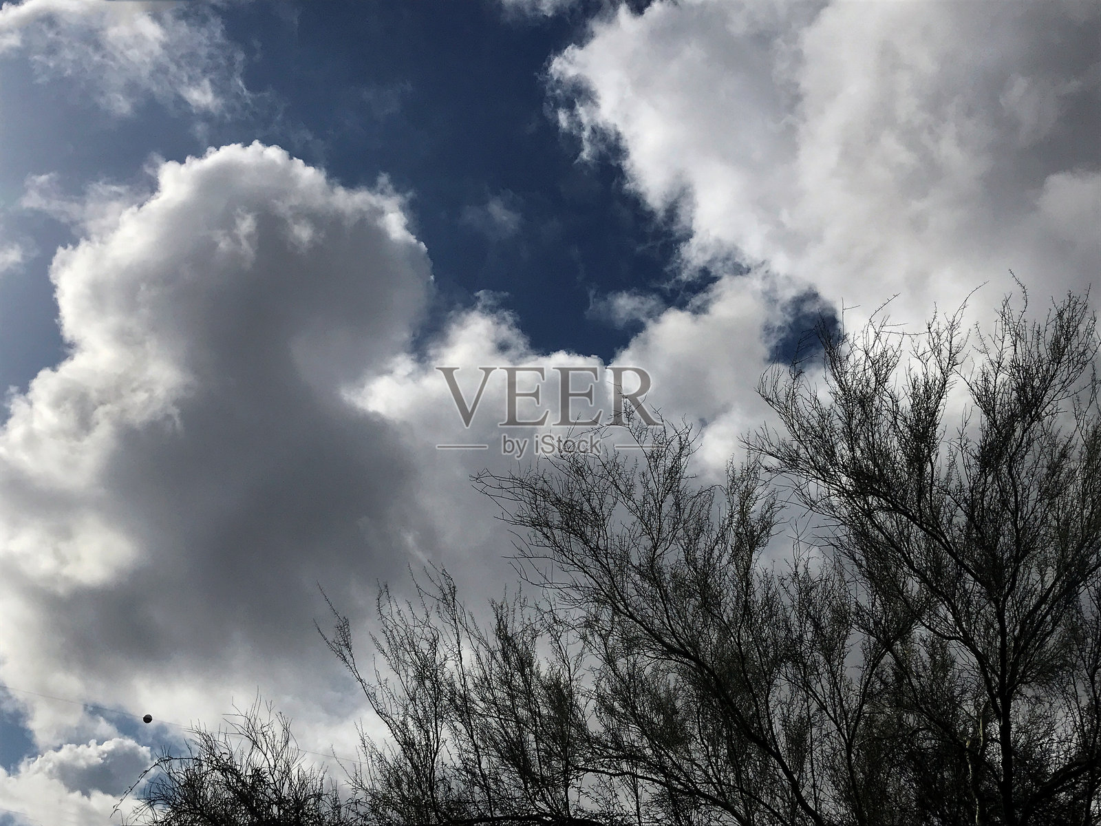 亚利桑那州凤凰城上空，戏剧性的雨云聚集在稀疏的沙漠植被上方。照片摄影图片