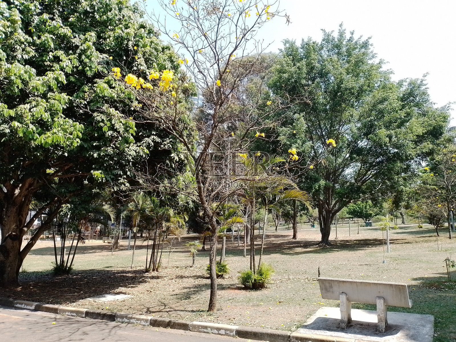 晴朗阳光明媚的早春全景照片摄影图片