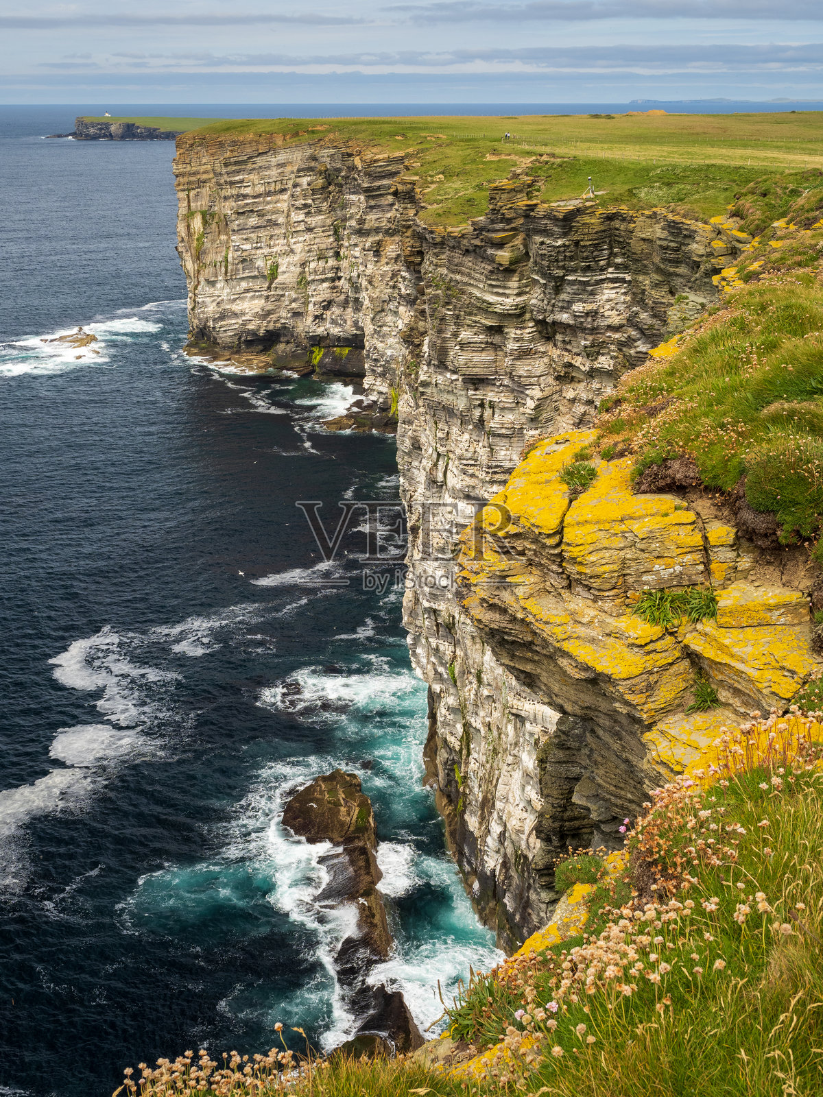 奥克尼，马尔维克头，陡峭的悬崖与海鸟栖息地照片摄影图片