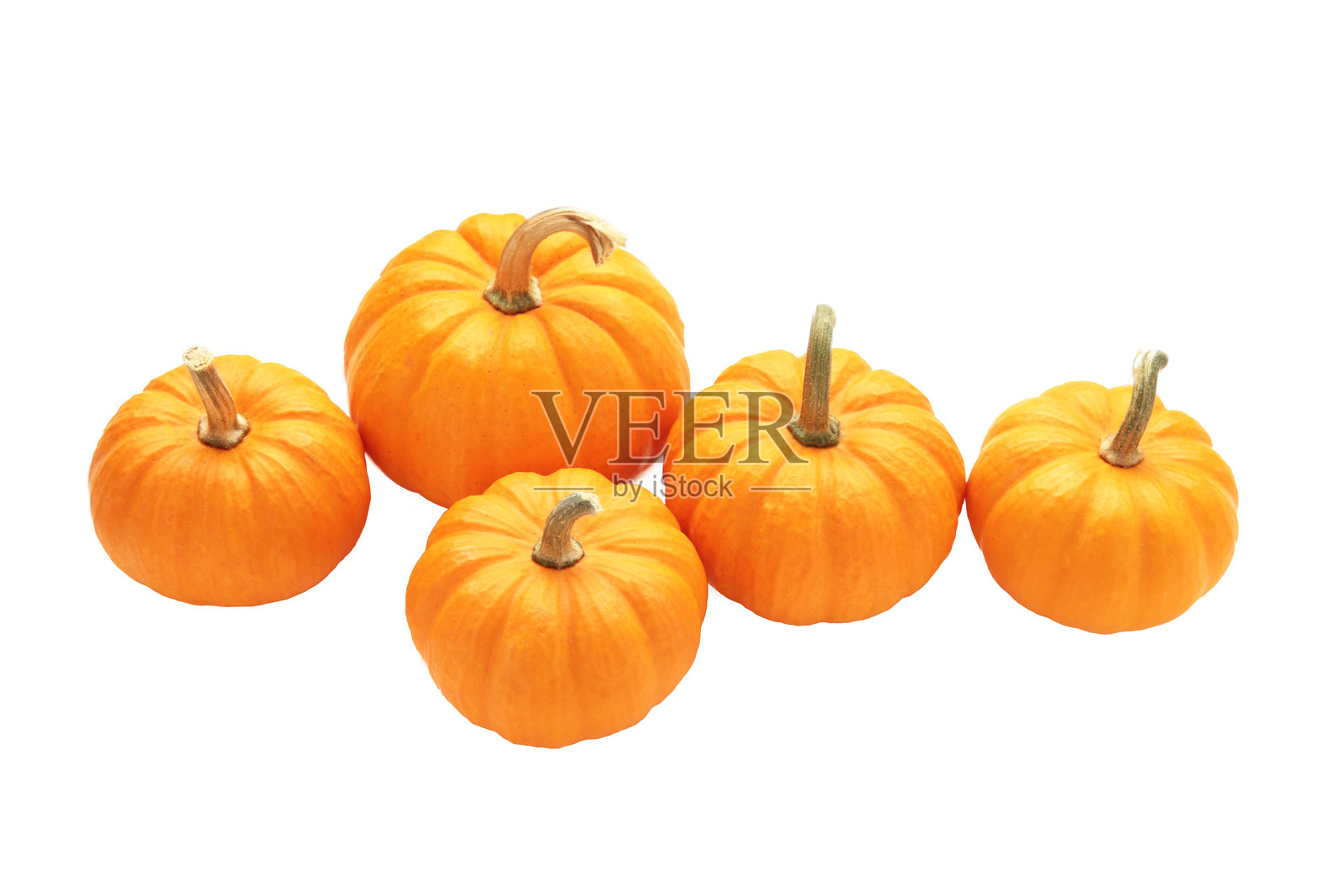 迷你橙色南瓜孤立在白色背景上。照片摄影图片