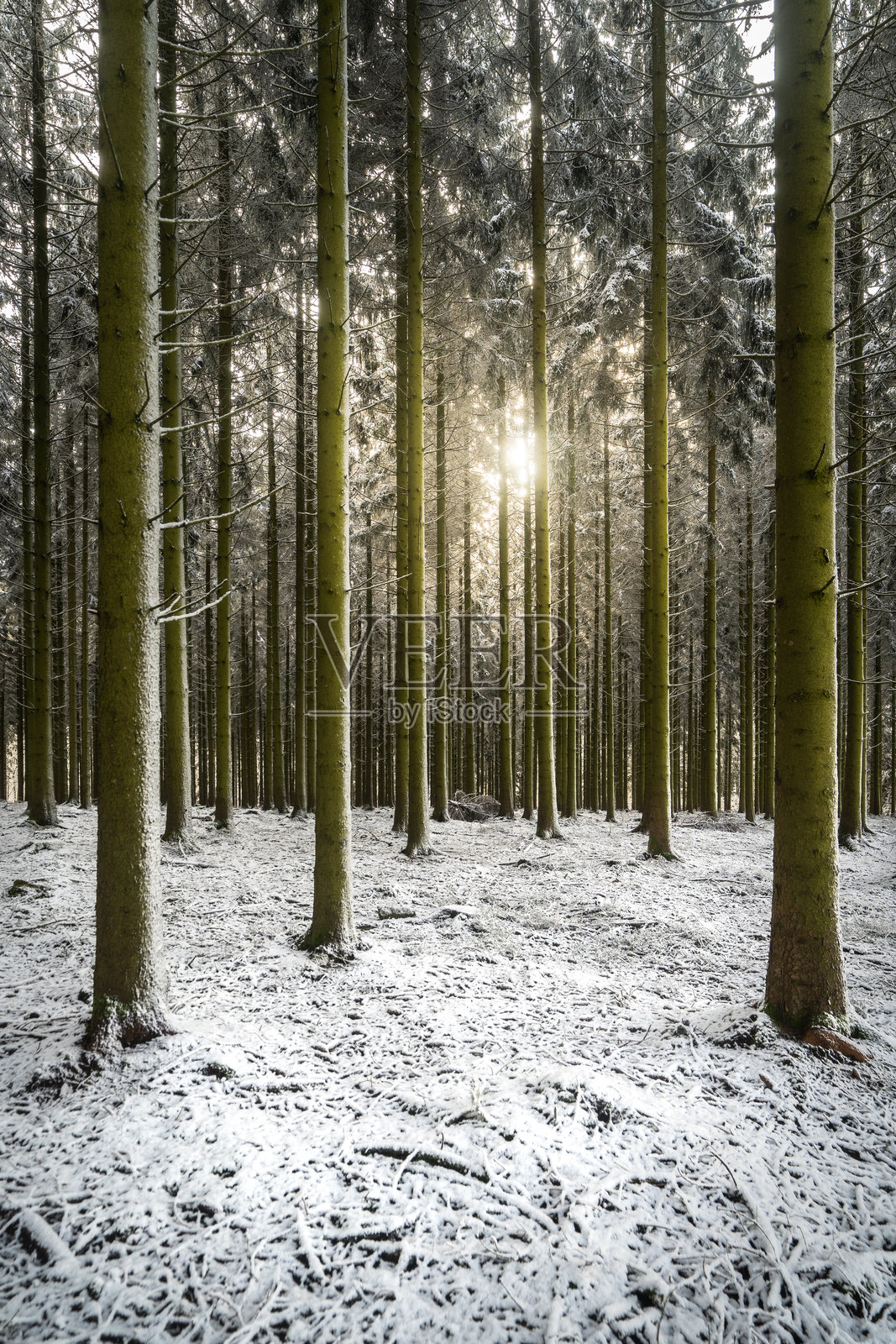 比利时的阿登地区照片摄影图片