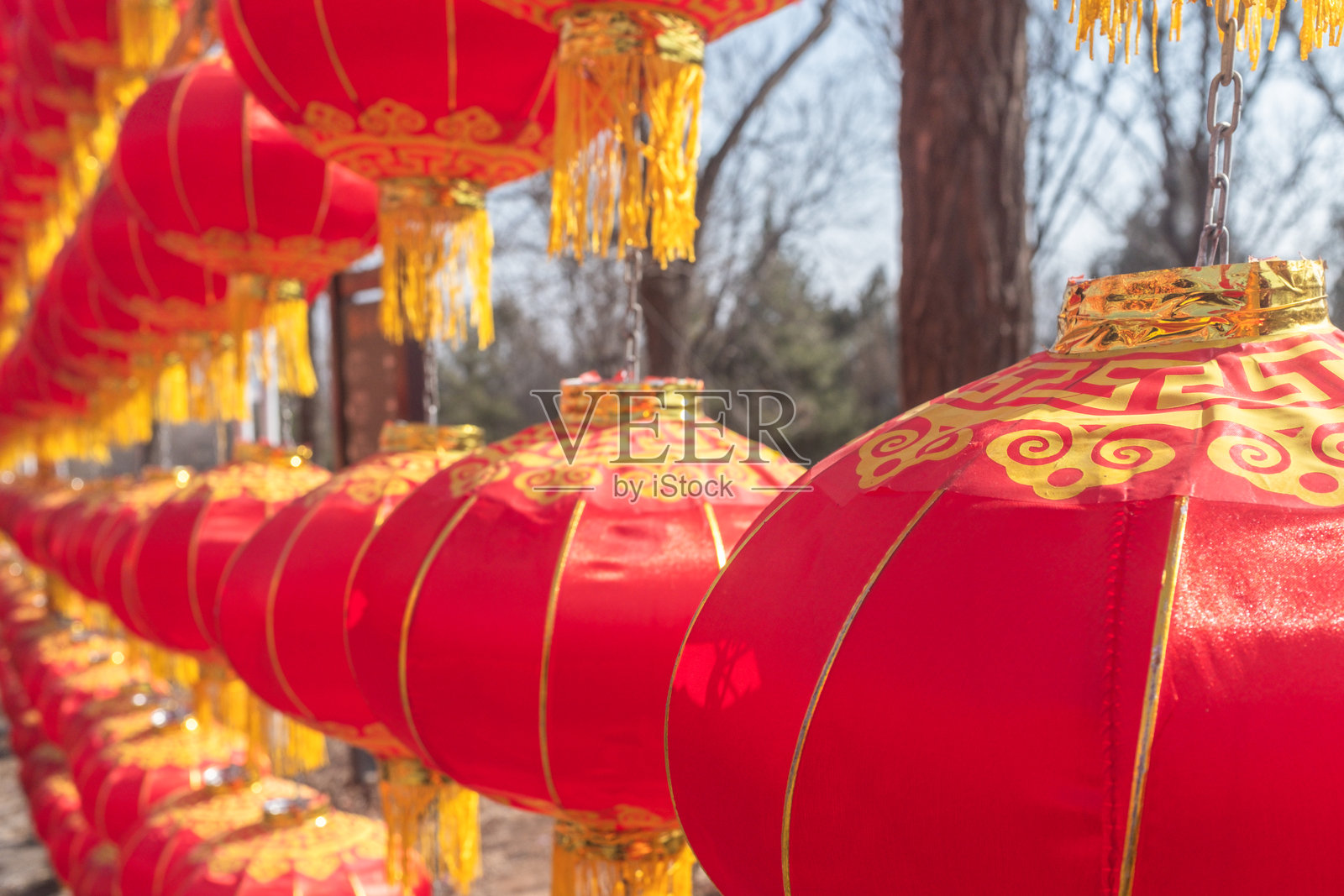 中国红灯笼照片摄影图片