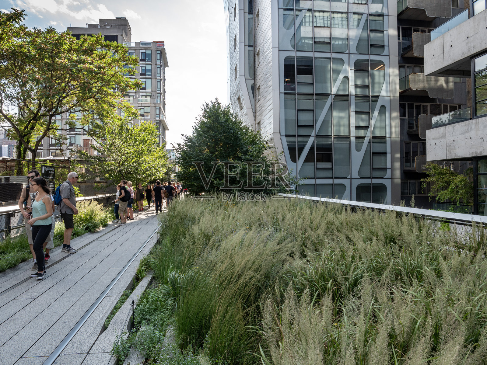 纽约高线公园照片摄影图片