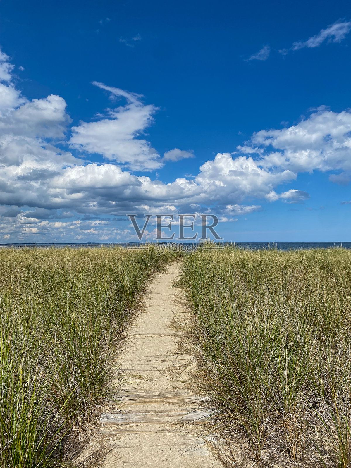 沙路穿过沙丘草通向海滩照片摄影图片