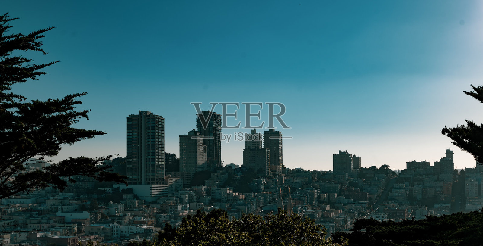 从旧金山先锋公园看俄罗斯山的公寓楼照片摄影图片