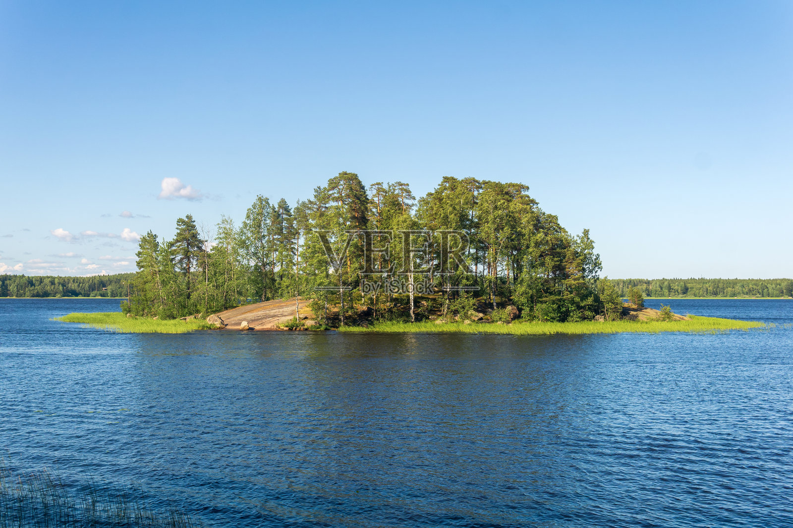 自然风光，小型林木石岛与芦苇岸照片摄影图片