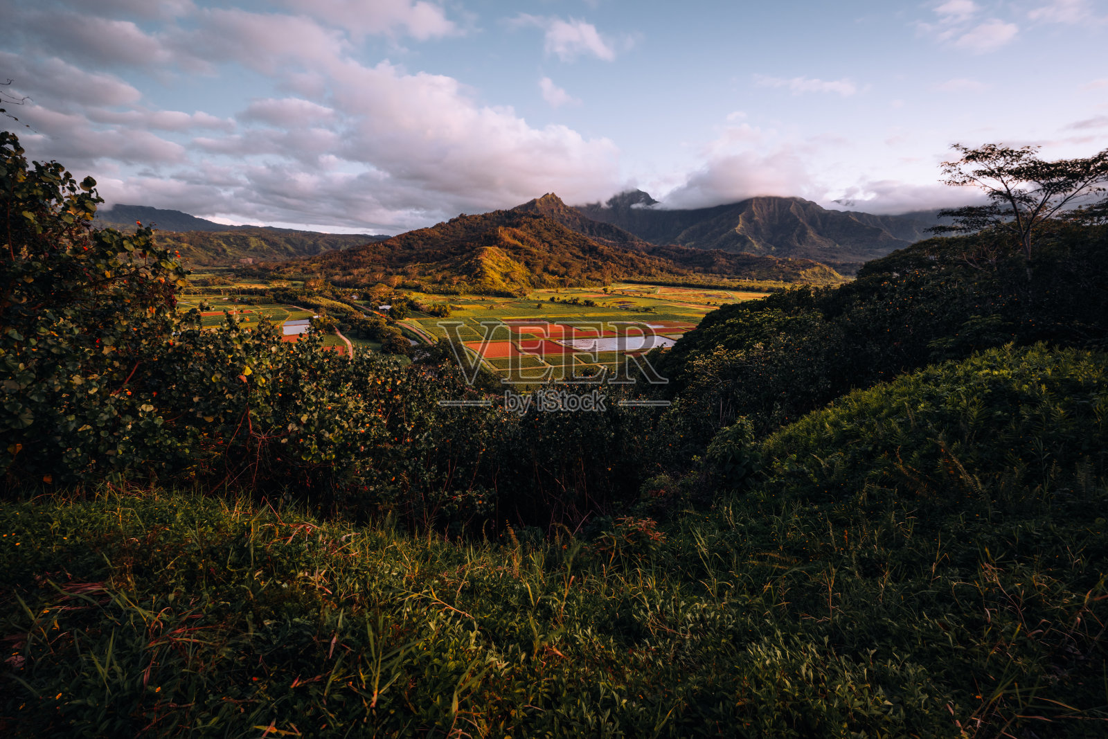 山谷景观照片摄影图片