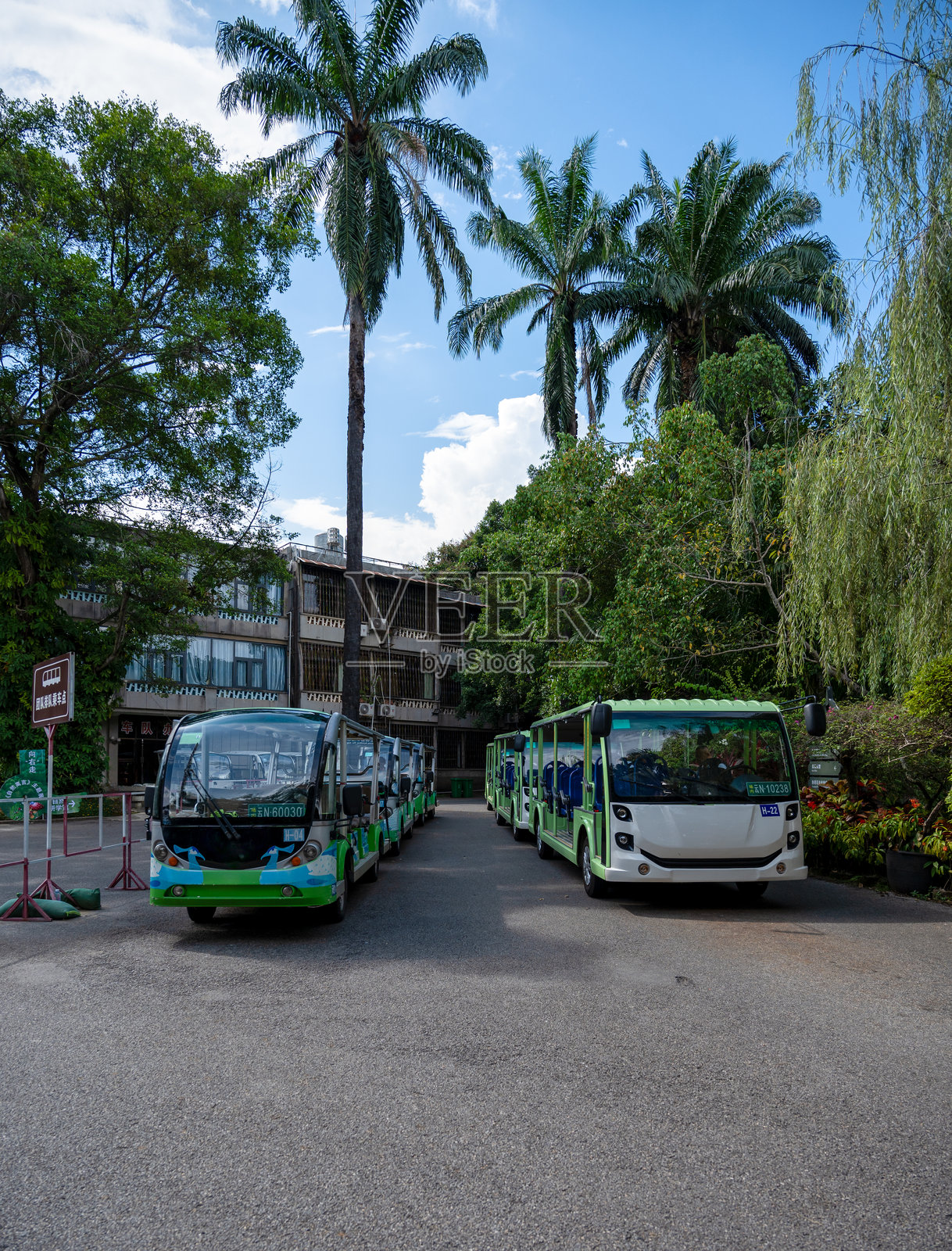 热带旅游景点观光电动车照片摄影图片