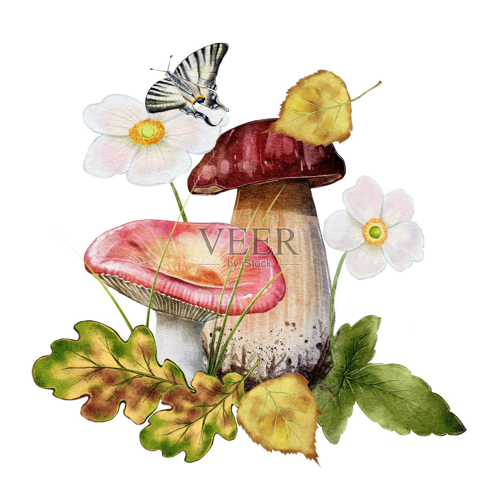 秋季的两朵蘑菇、花朵、树叶和一只蝴蝶的组合插画图片素材