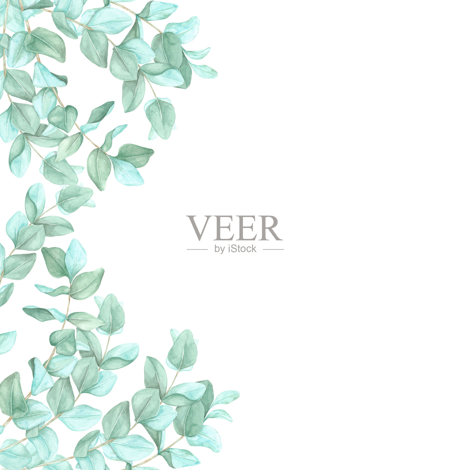 桉树叶子在一侧形成半框，另一侧留空以便添加文字。水彩剪贴画框，适合设计贺卡。插画图片素材