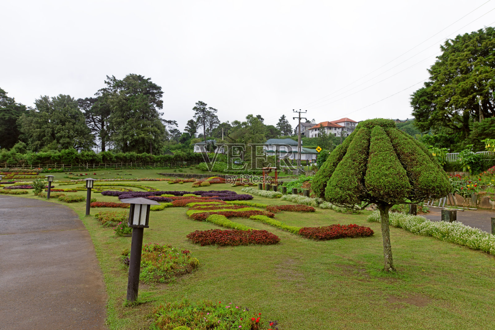 斯里兰卡努沃勒埃利耶的格雷戈里公园。照片摄影图片