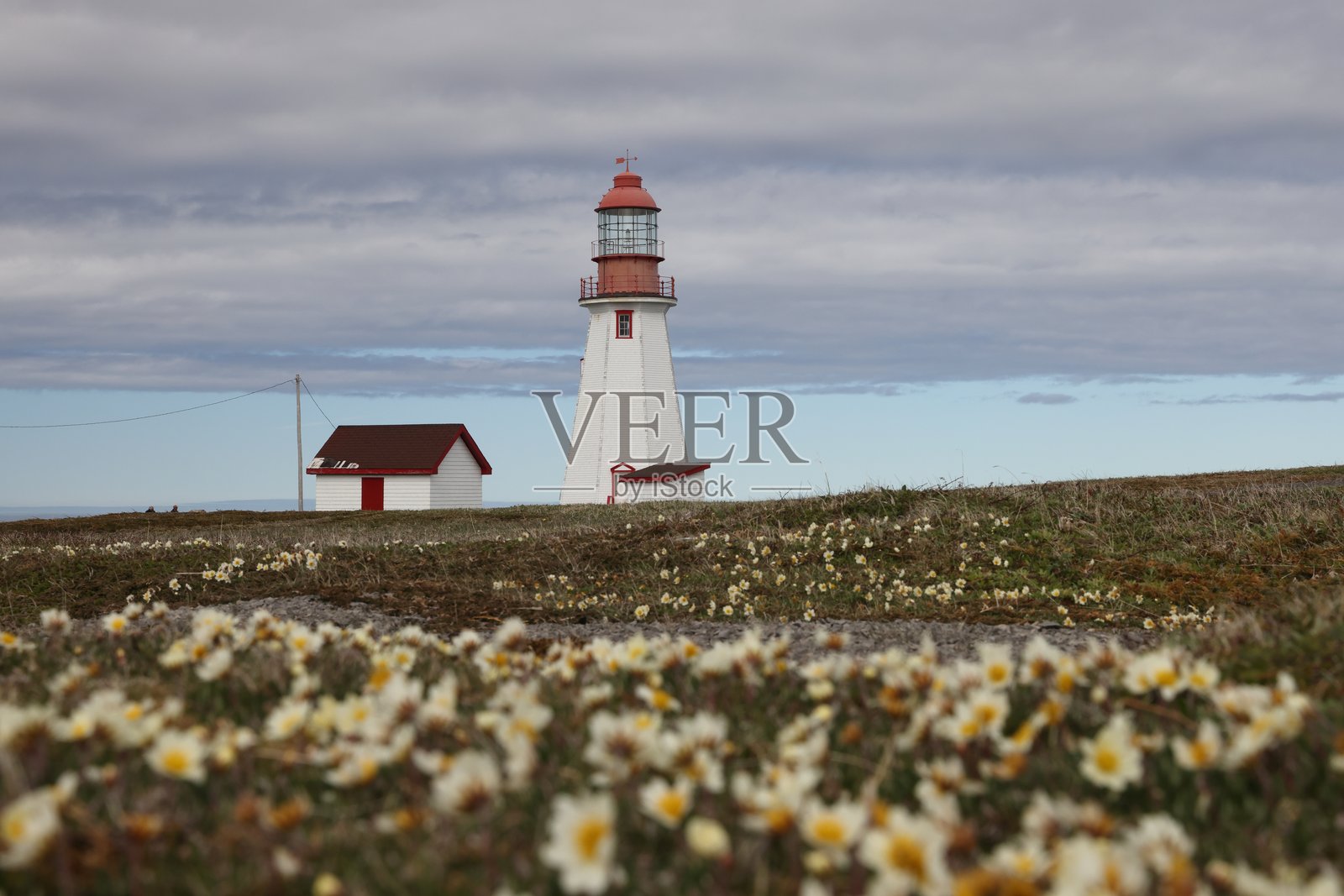 里奇角灯塔，纽芬兰，加拿大照片摄影图片