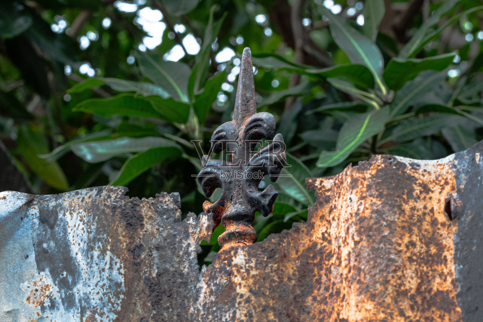 锌铁上的棕色锈蚀纹理照片摄影图片