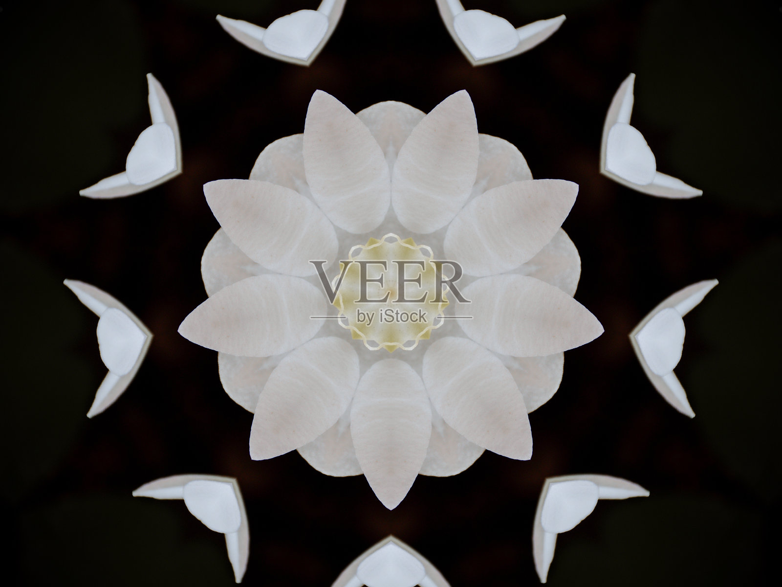 抽象万花筒花卉图案照片摄影图片