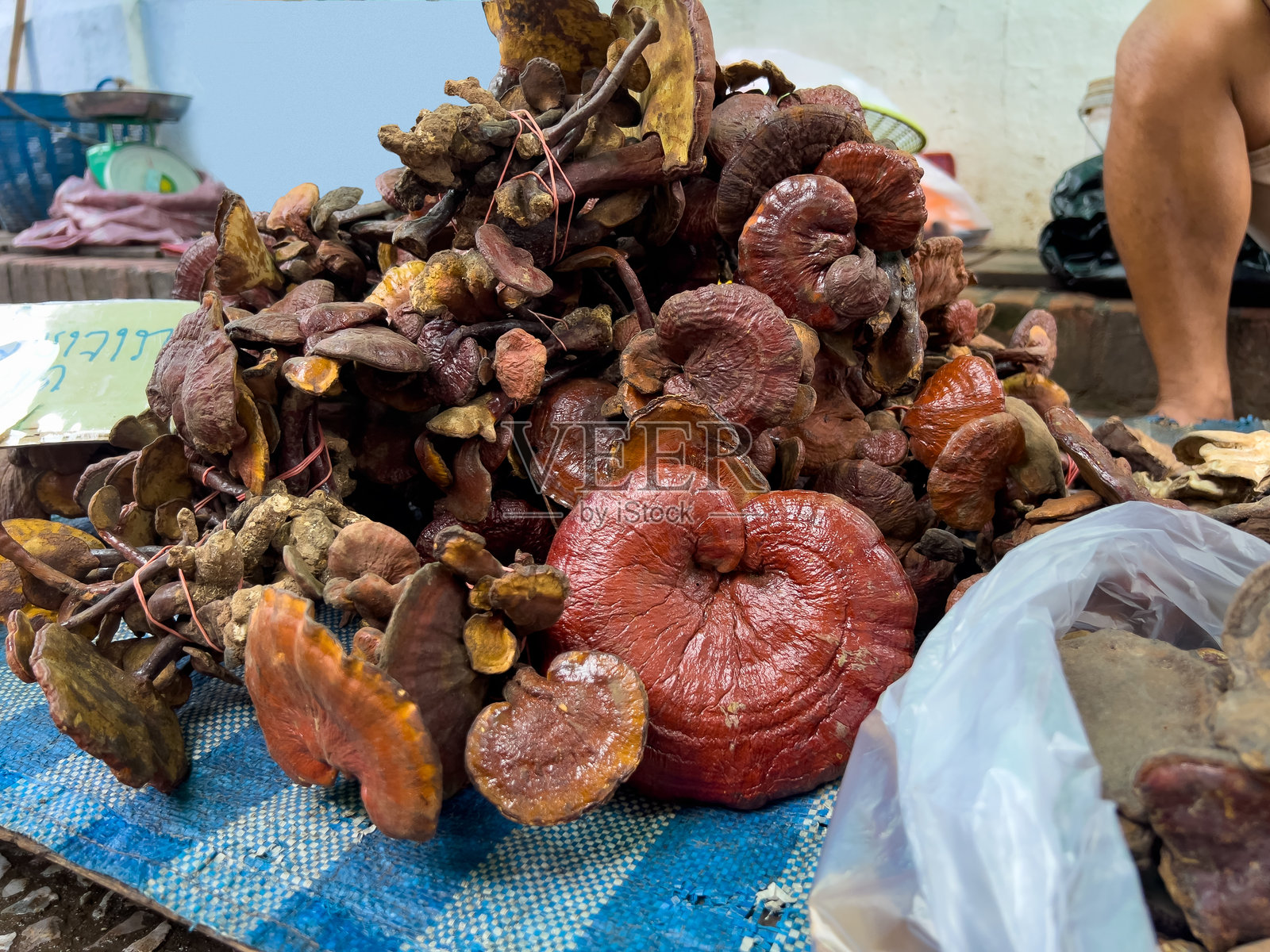 市场上的灵芝蘑菇照片摄影图片