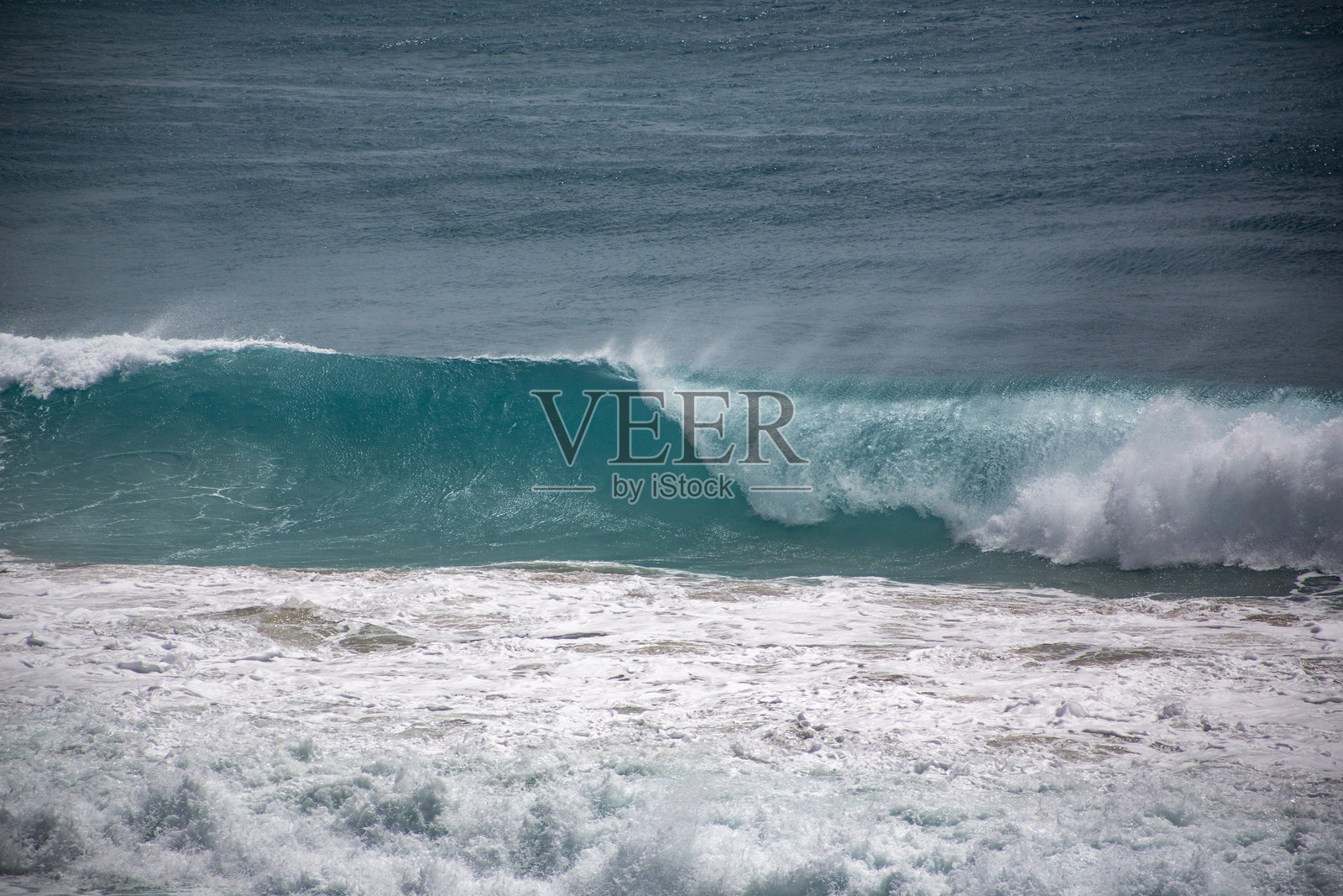 奄美的自然照片摄影图片